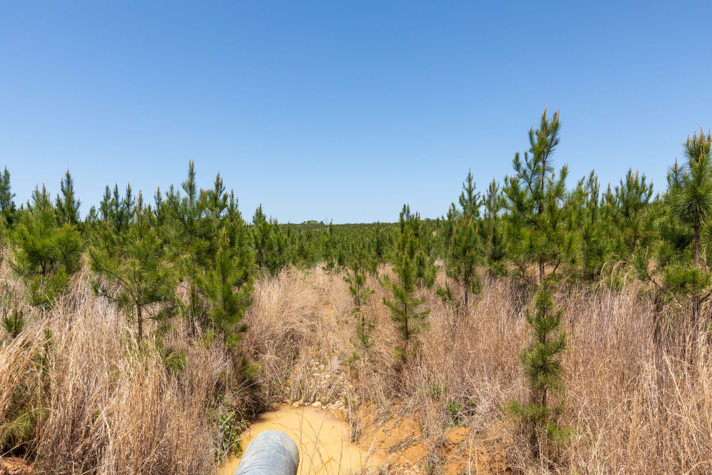 Clear Wood Tract 68 photo 10