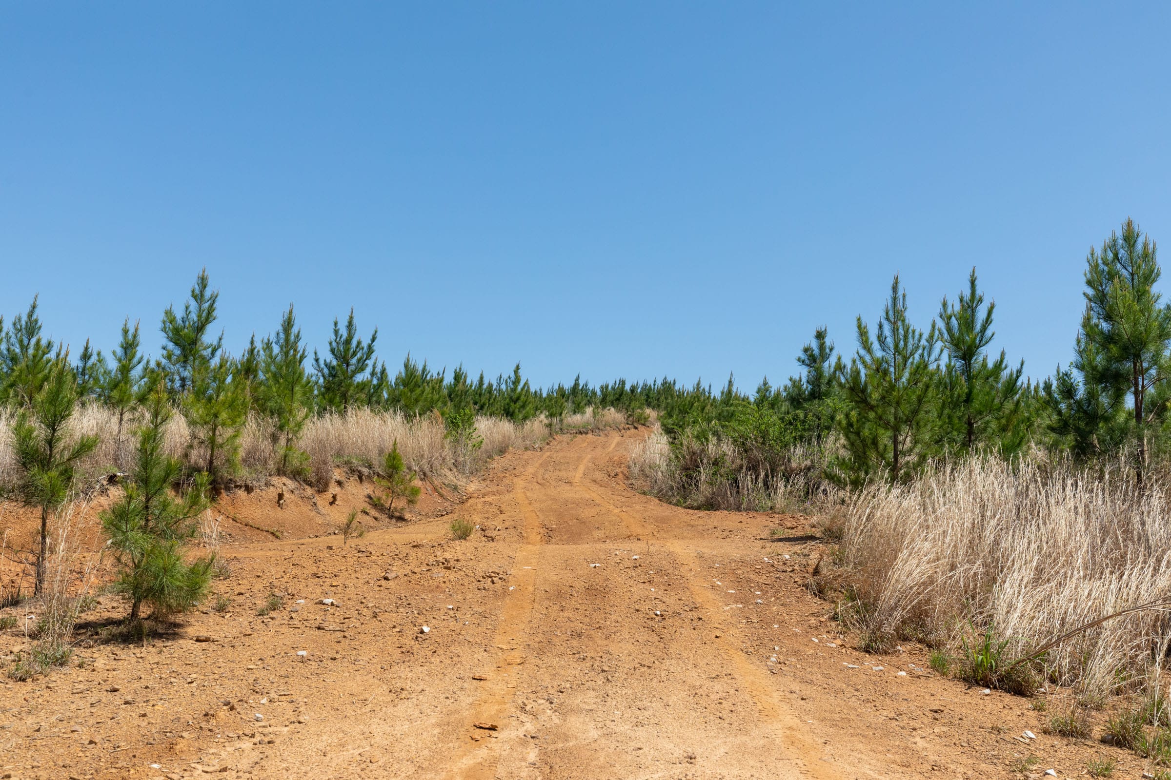 Clear Wood Tract 68 photo 11