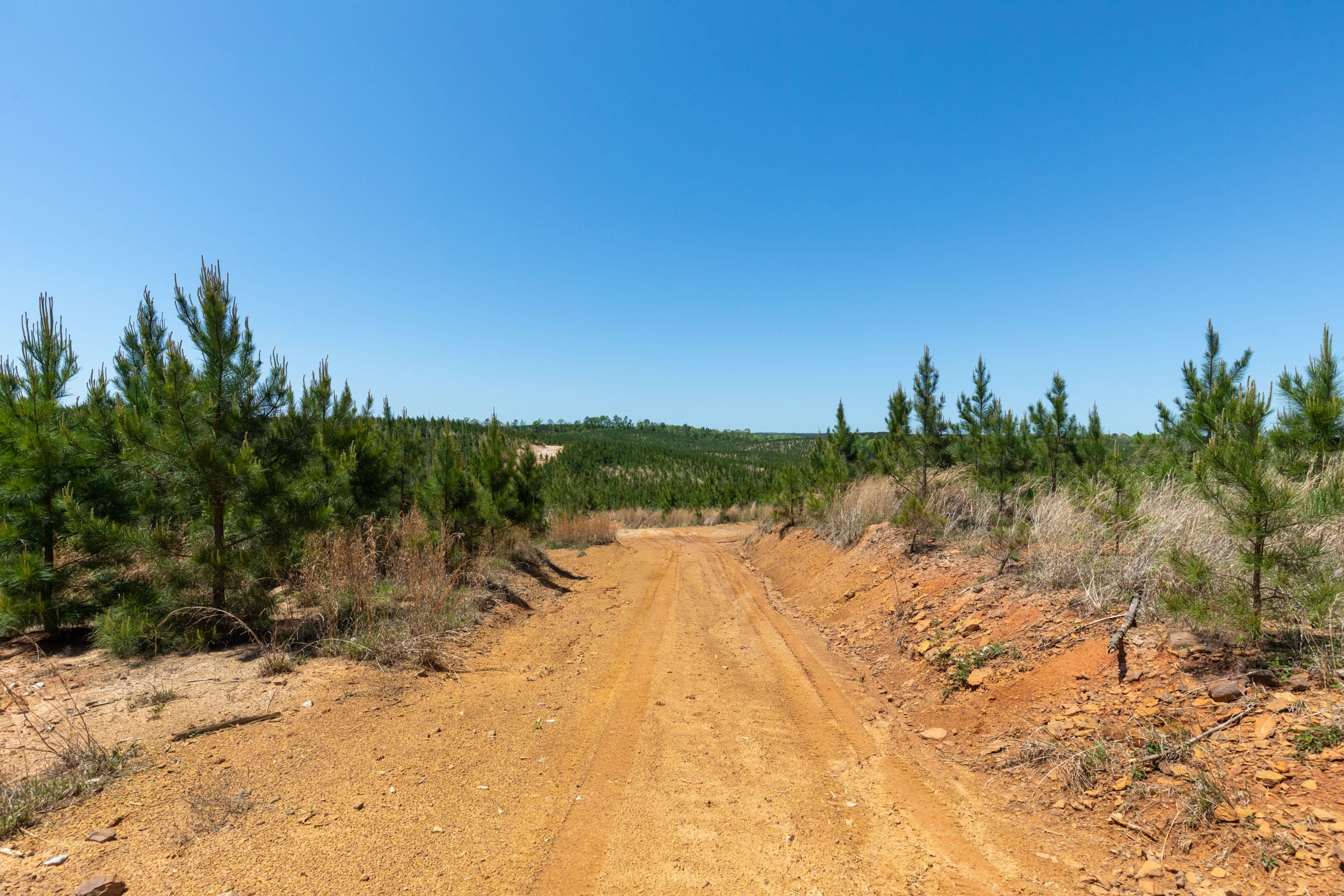 Clear Wood Tract 68 photo 12