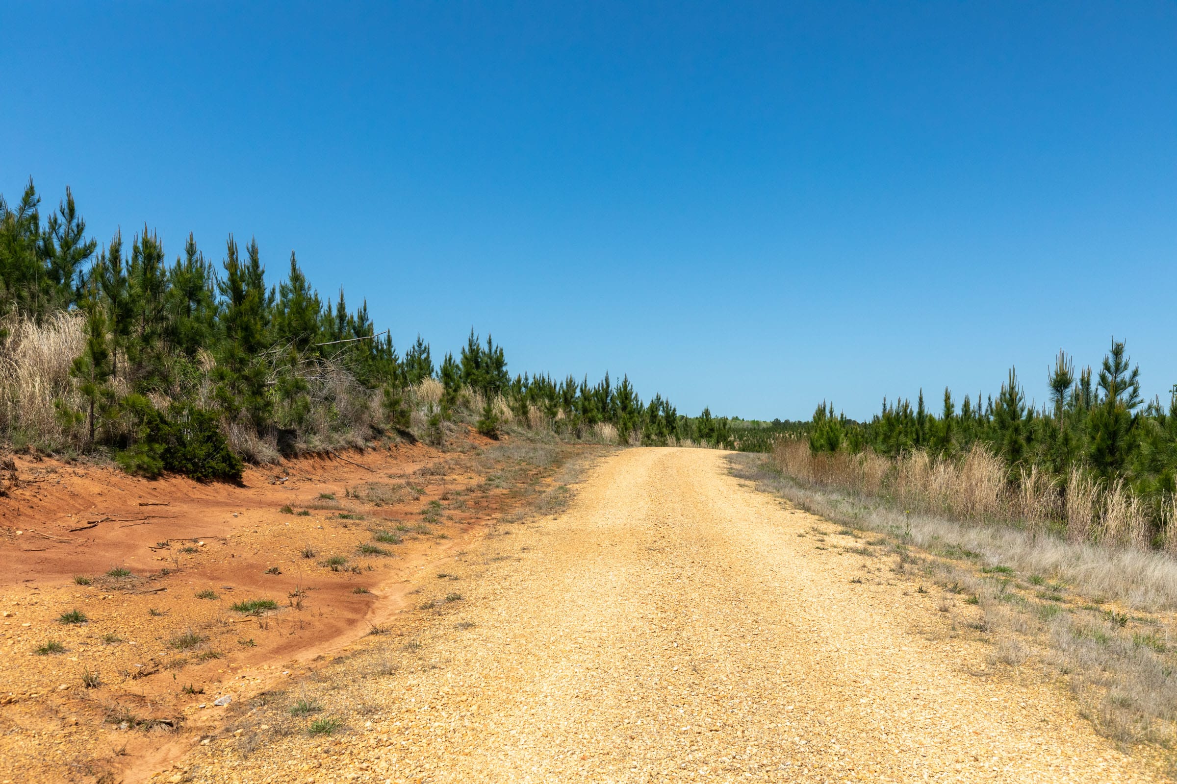 Clear Wood Tract 68 photo 13