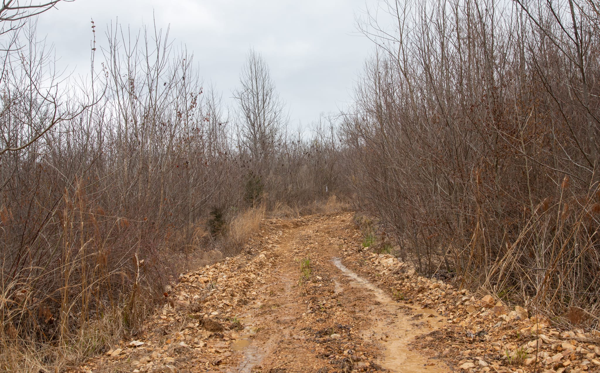 Southwind Ranch Tract 14 photo 2