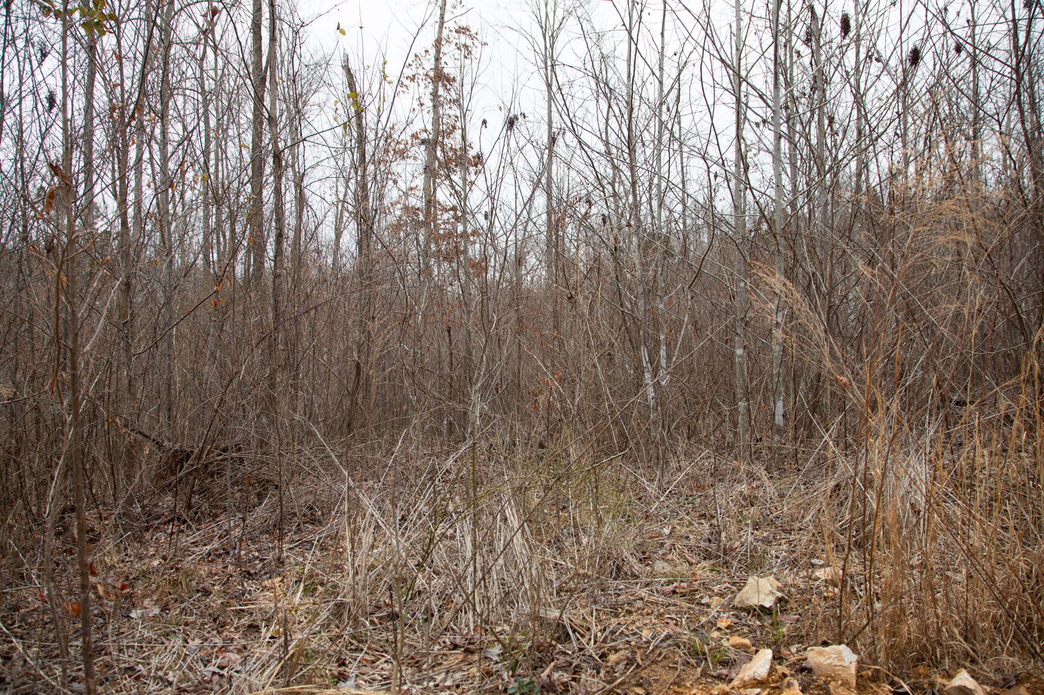 Southwind Ranch Tract 14 photo 4