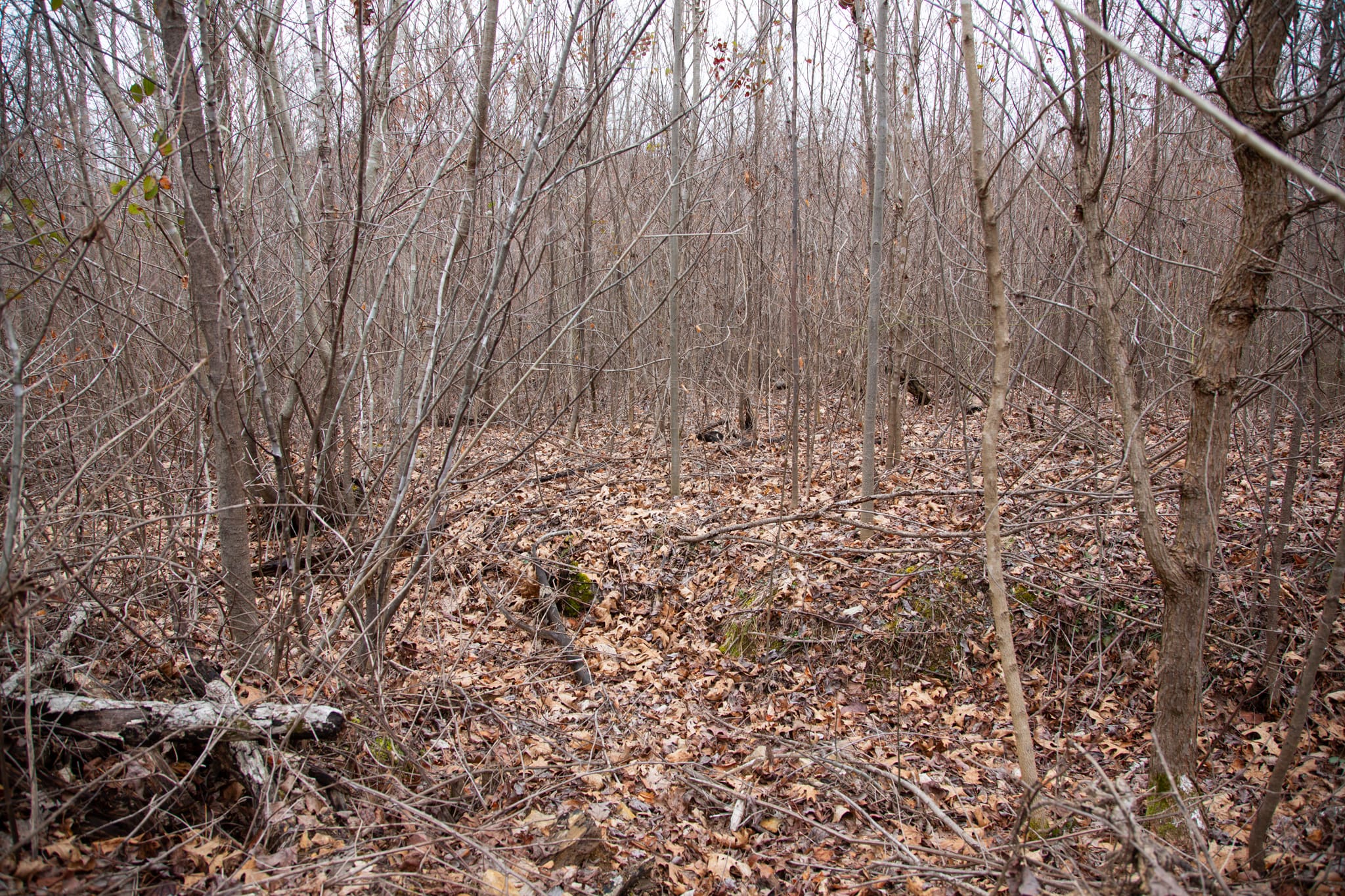 Southwind Ranch Tract 14 photo 5