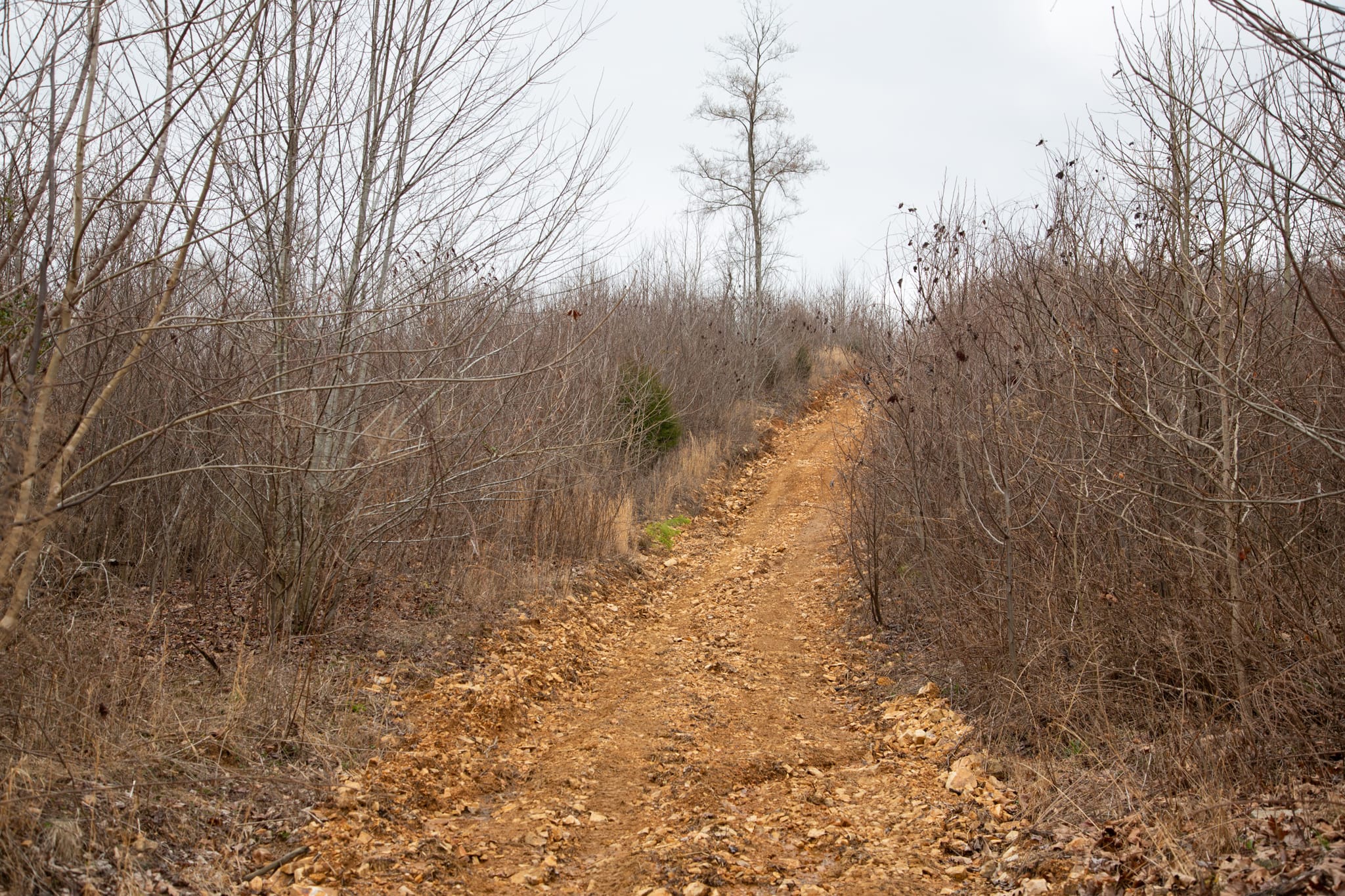 Southwind Ranch Tract 14 photo 6