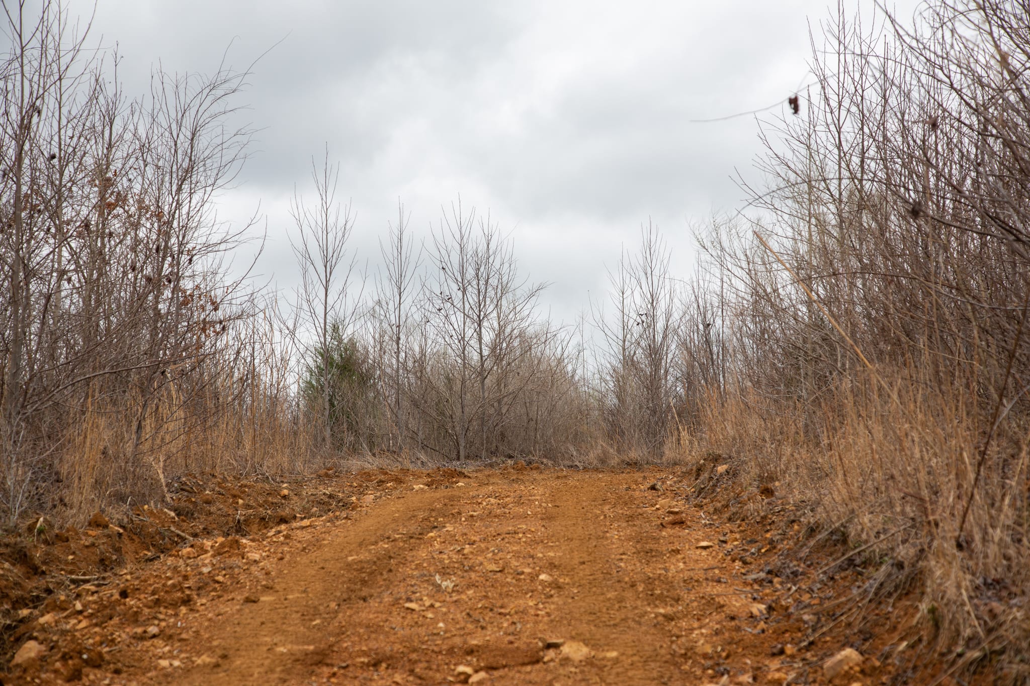 Southwind Ranch Tract 14 photo 14