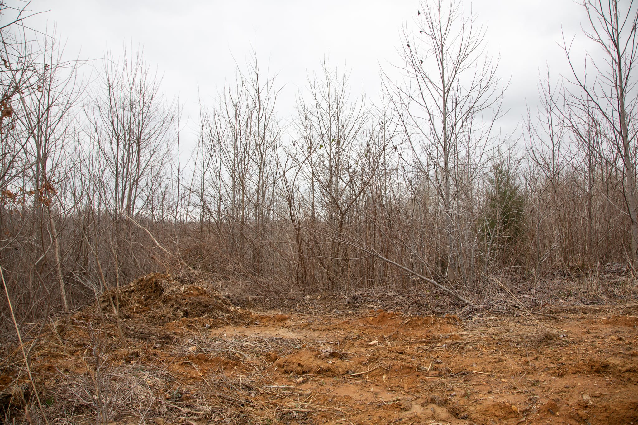 Southwind Ranch Tract 14 photo 13