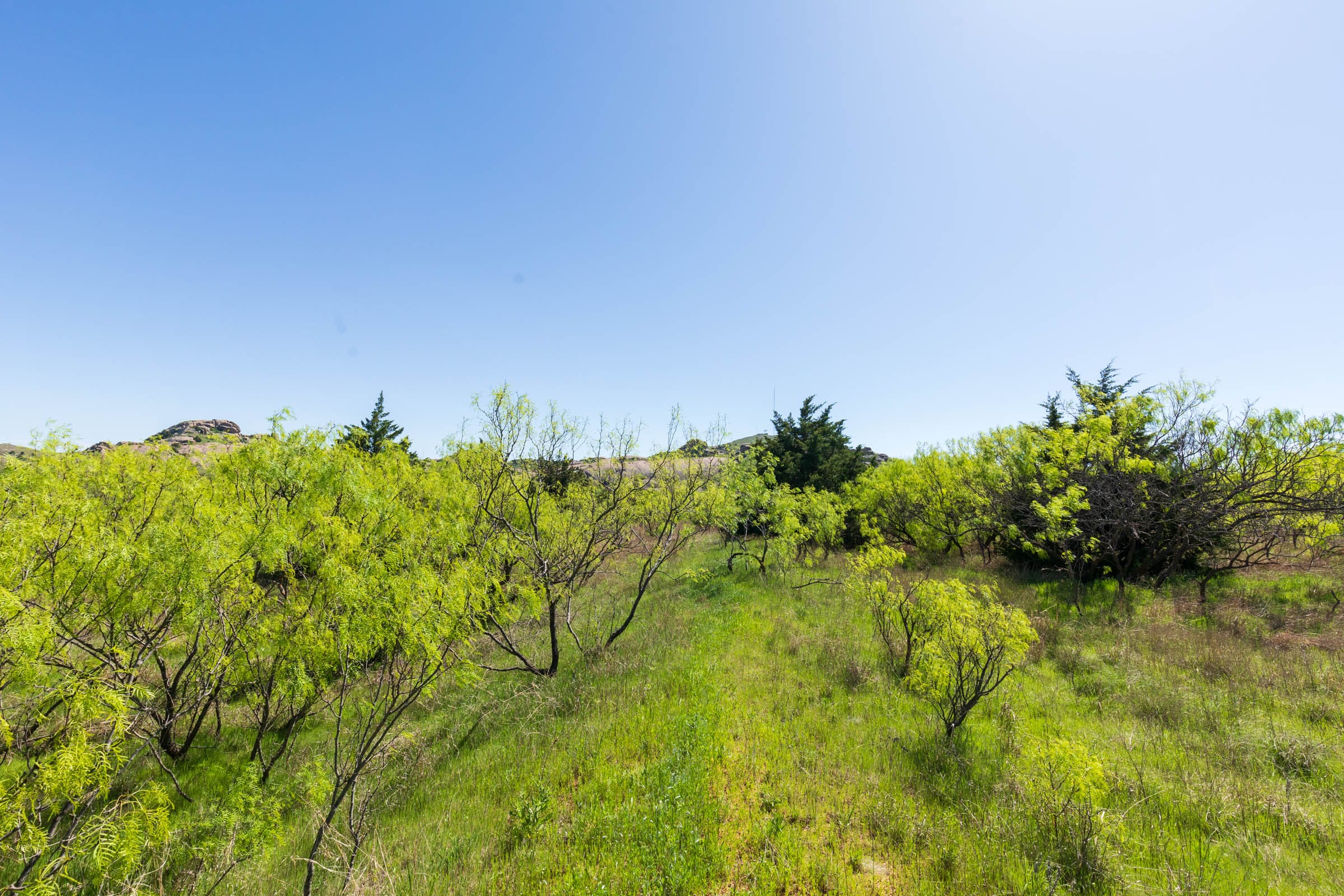 Hackberry Fields Tract 8 photo 4