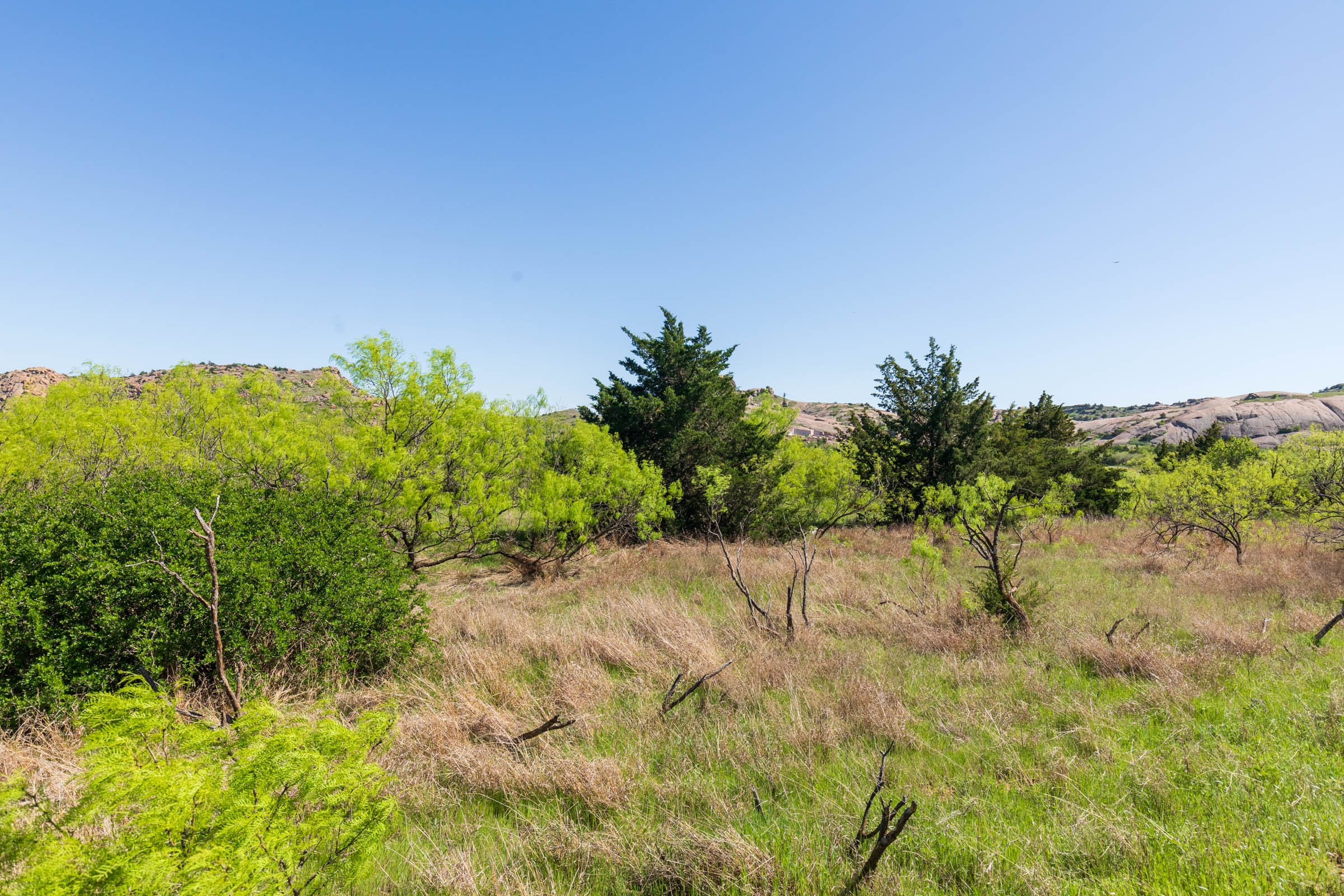 Hackberry Fields Tract 8 photo 5