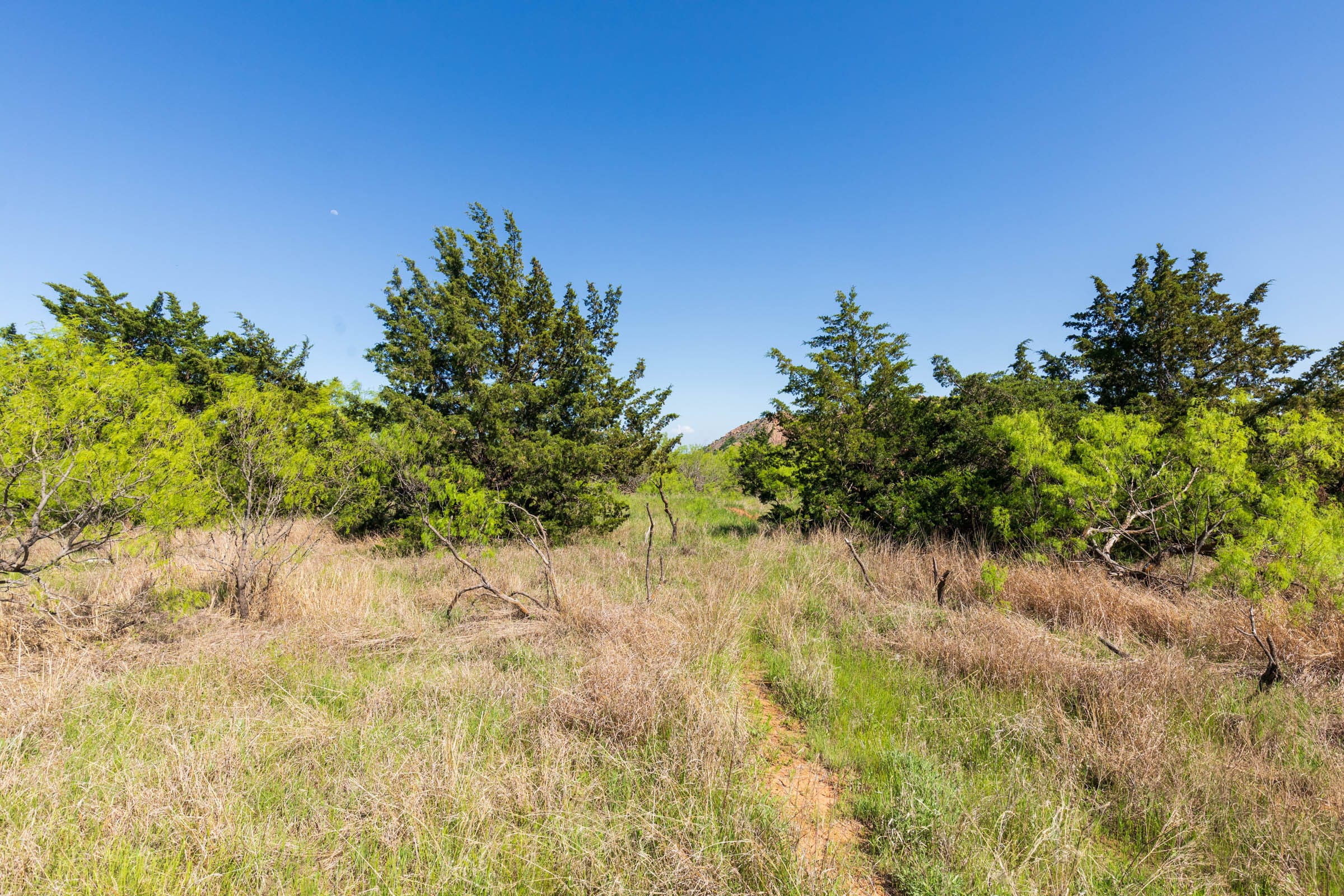 Hackberry Fields Tract 8 photo 9