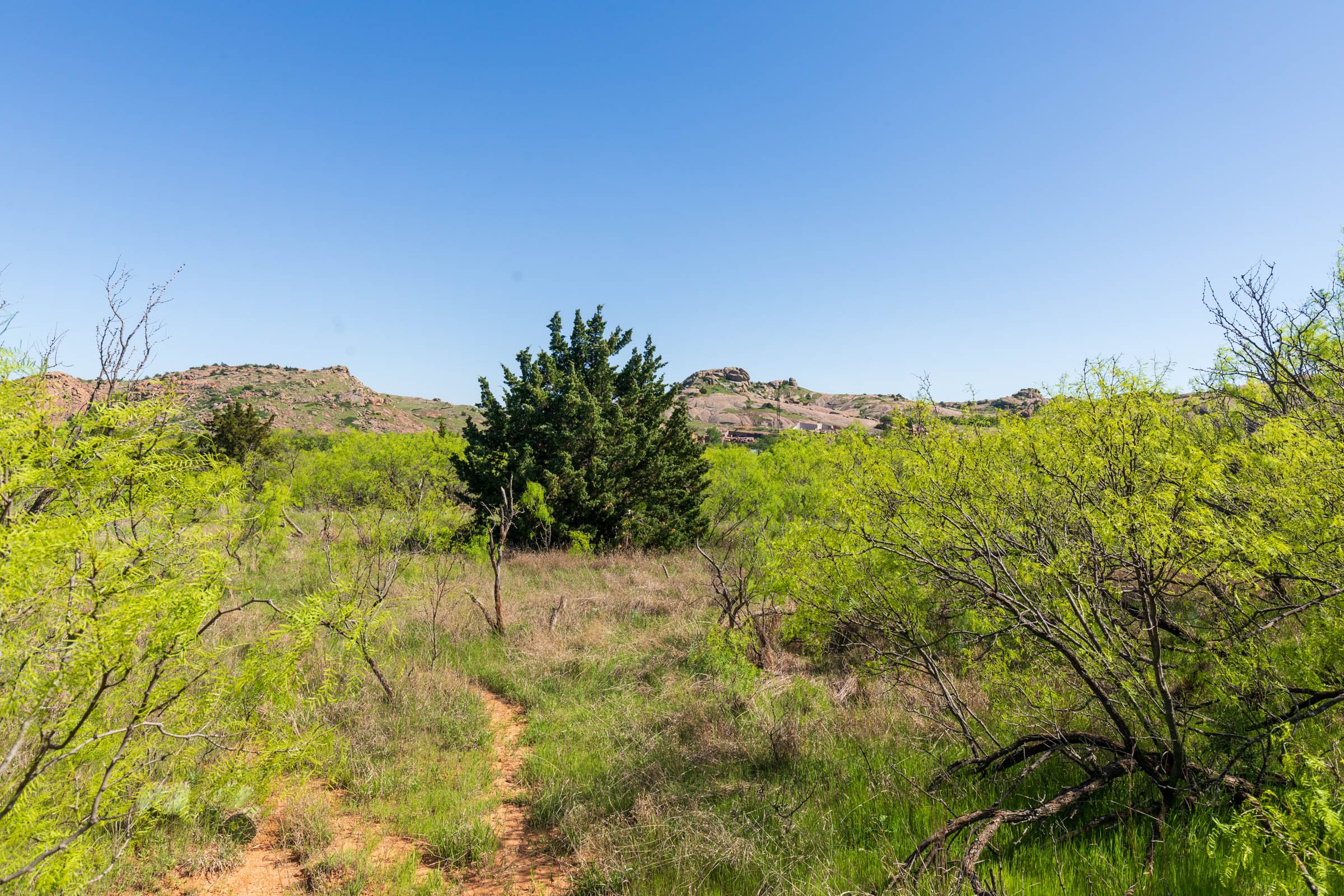 Hackberry Fields Tract 8 photo 11