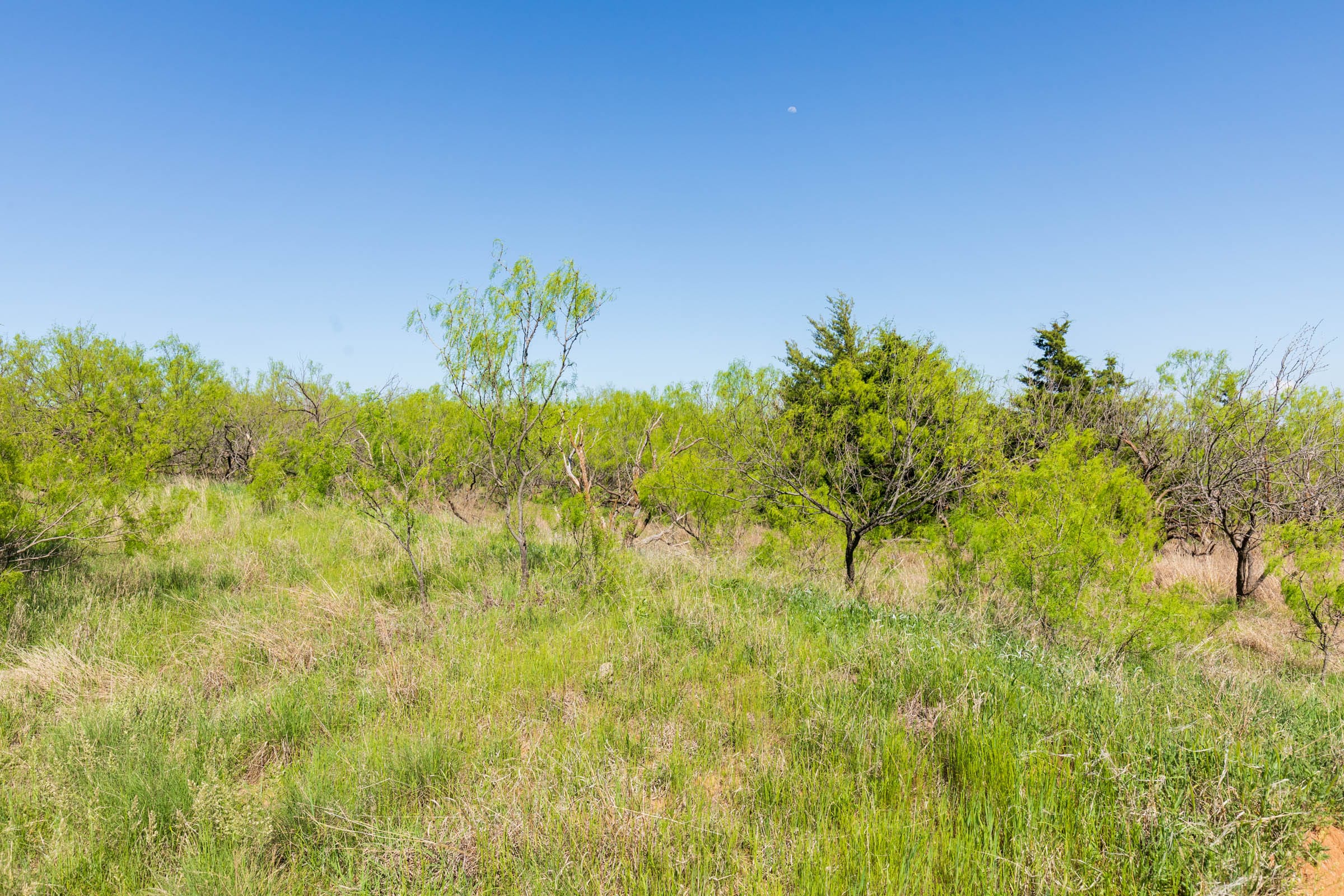 Hackberry Fields Tract 8 photo 14
