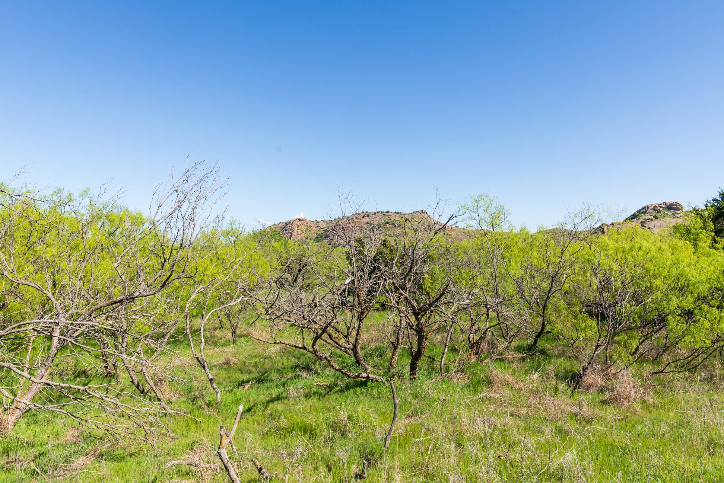 Hackberry Fields Tract 8 photo 15