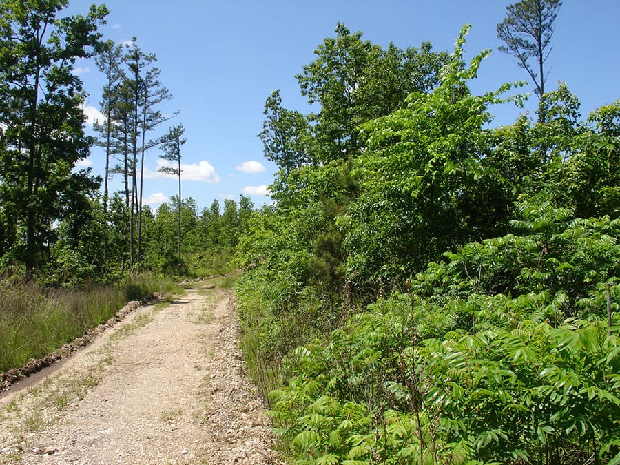 Antler Ridge Tract 17 photo 1
