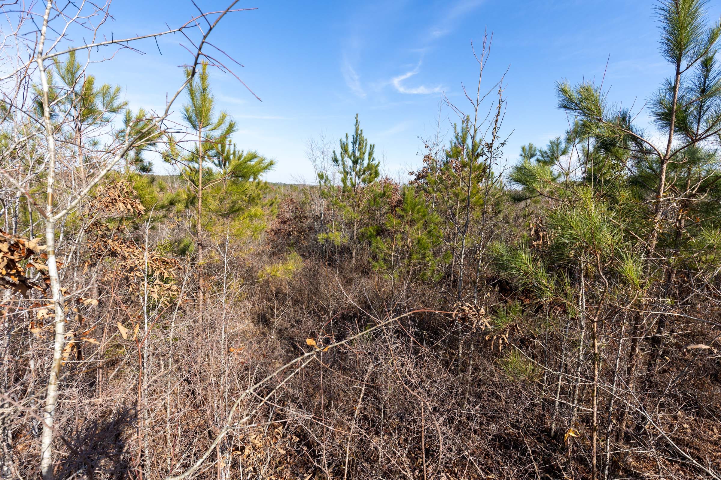 Baker Creek Tract 3 photo 1