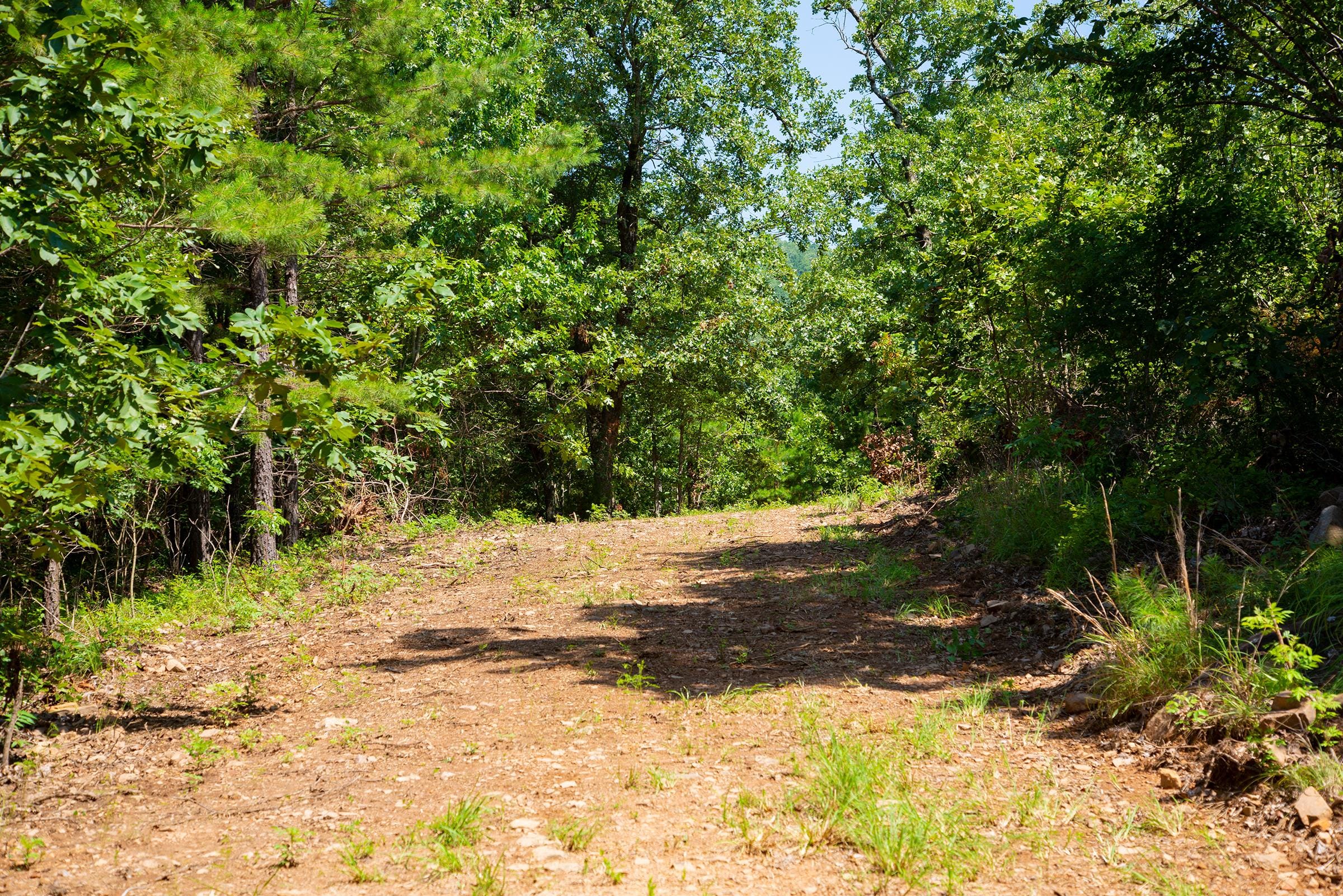Tyler Stone Ranch Tract 73 photo 9