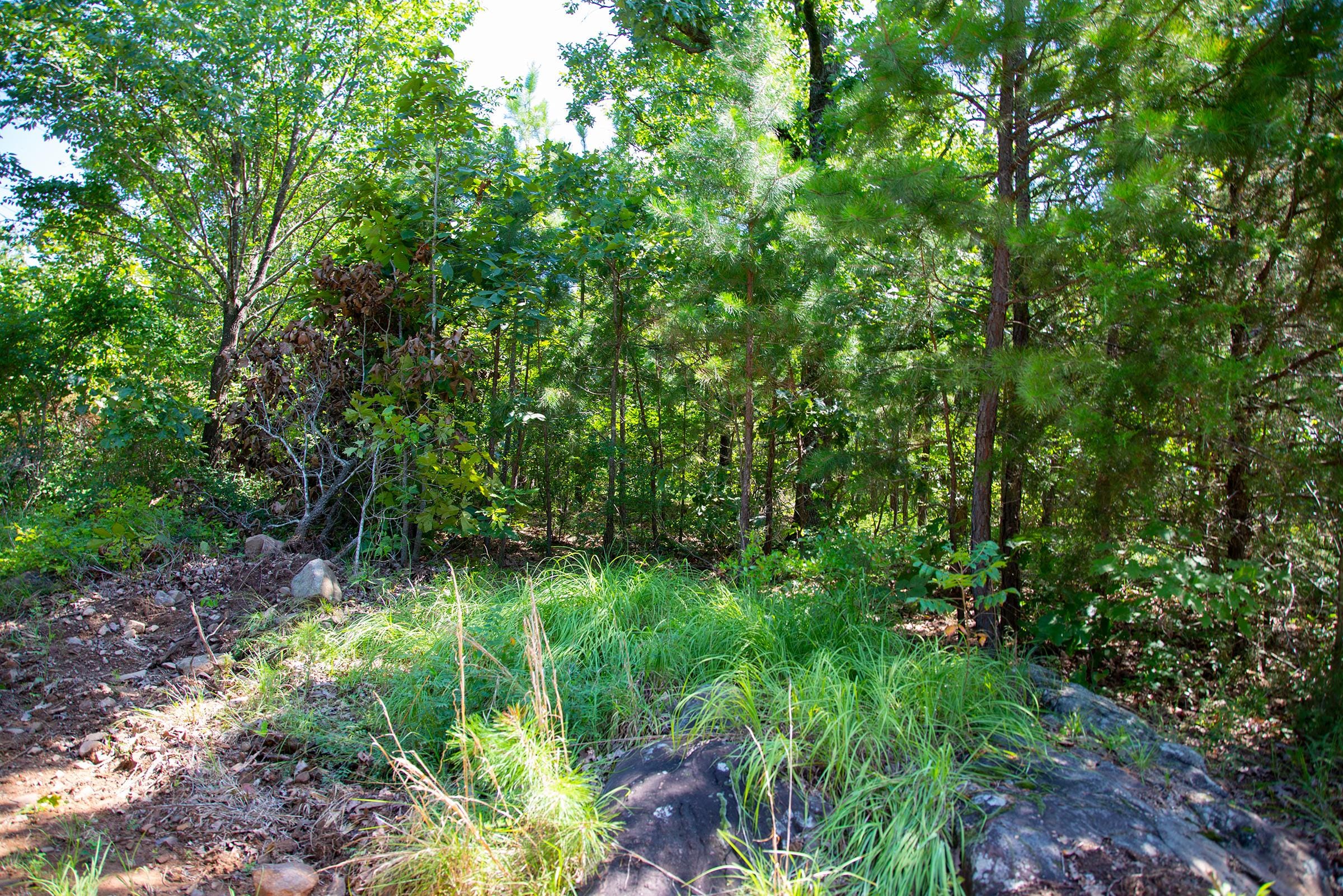 Tyler Stone Ranch Tract 73 photo 5