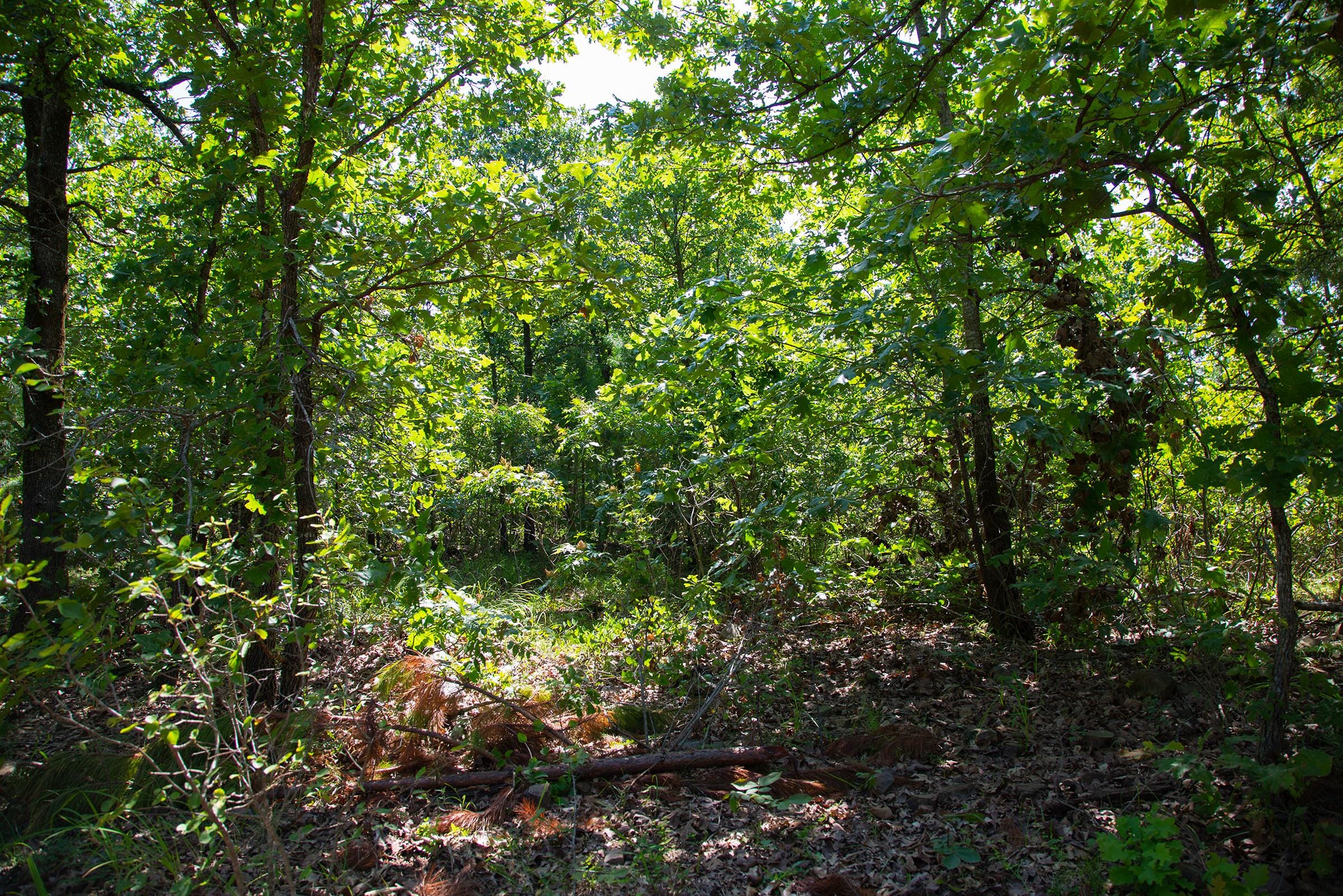 Tyler Stone Ranch Tract 73 photo 4