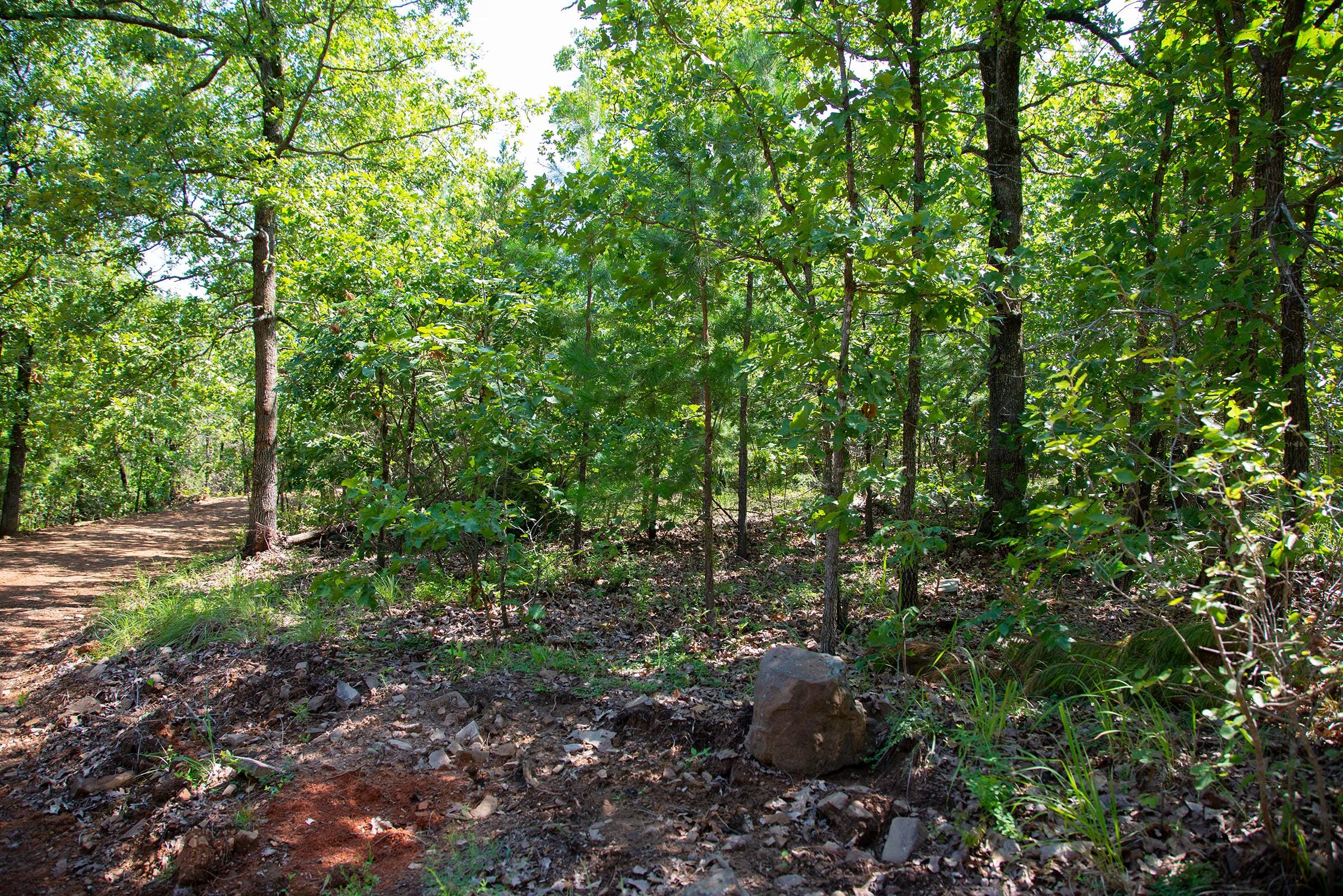 Tyler Stone Ranch Tract 73 photo 6