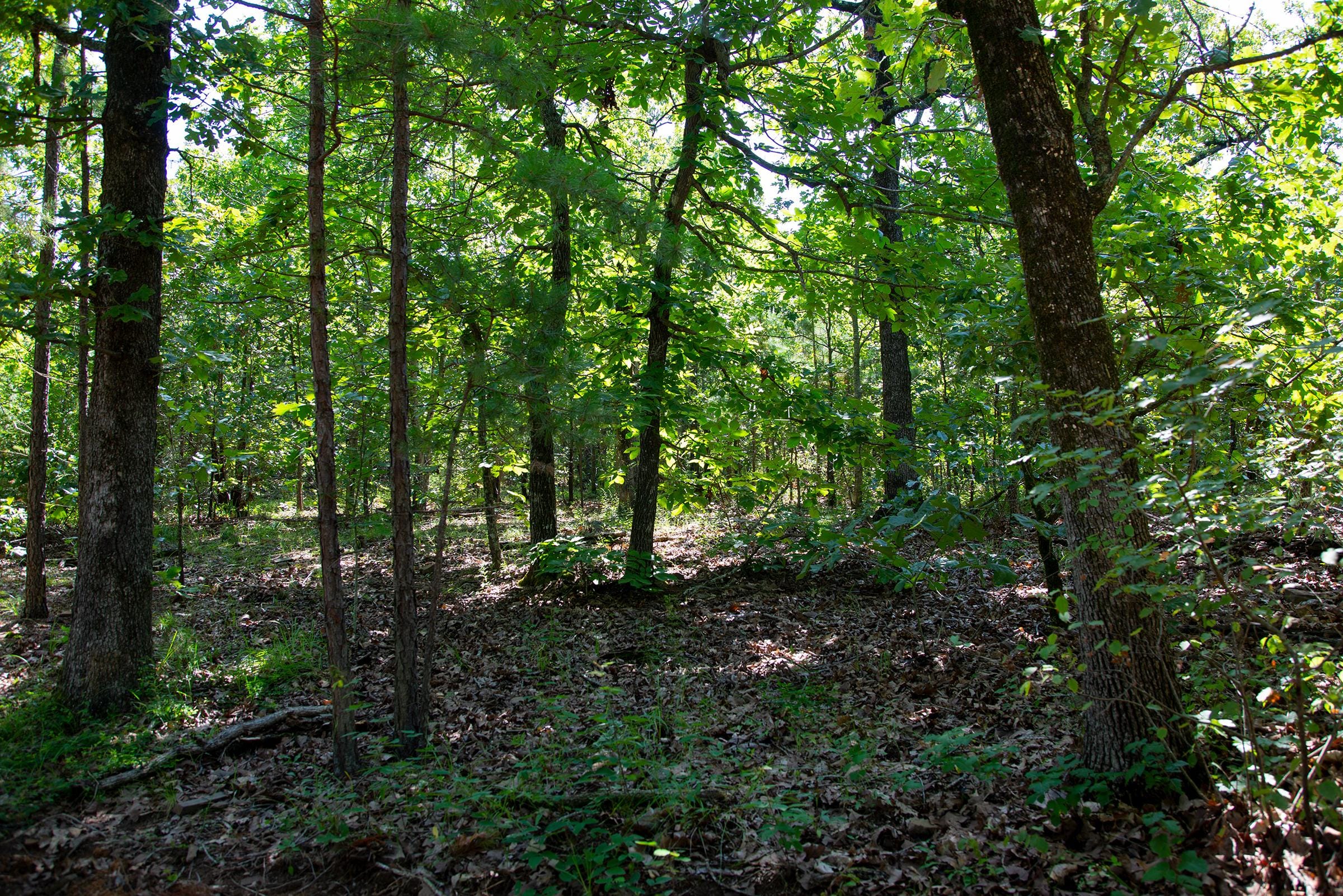 Tyler Stone Ranch Tract 73 photo 7
