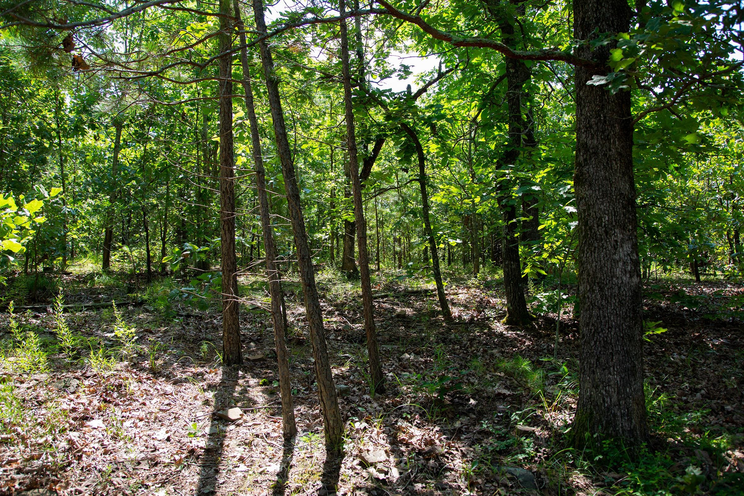 Tyler Stone Ranch Tract 73 photo 1