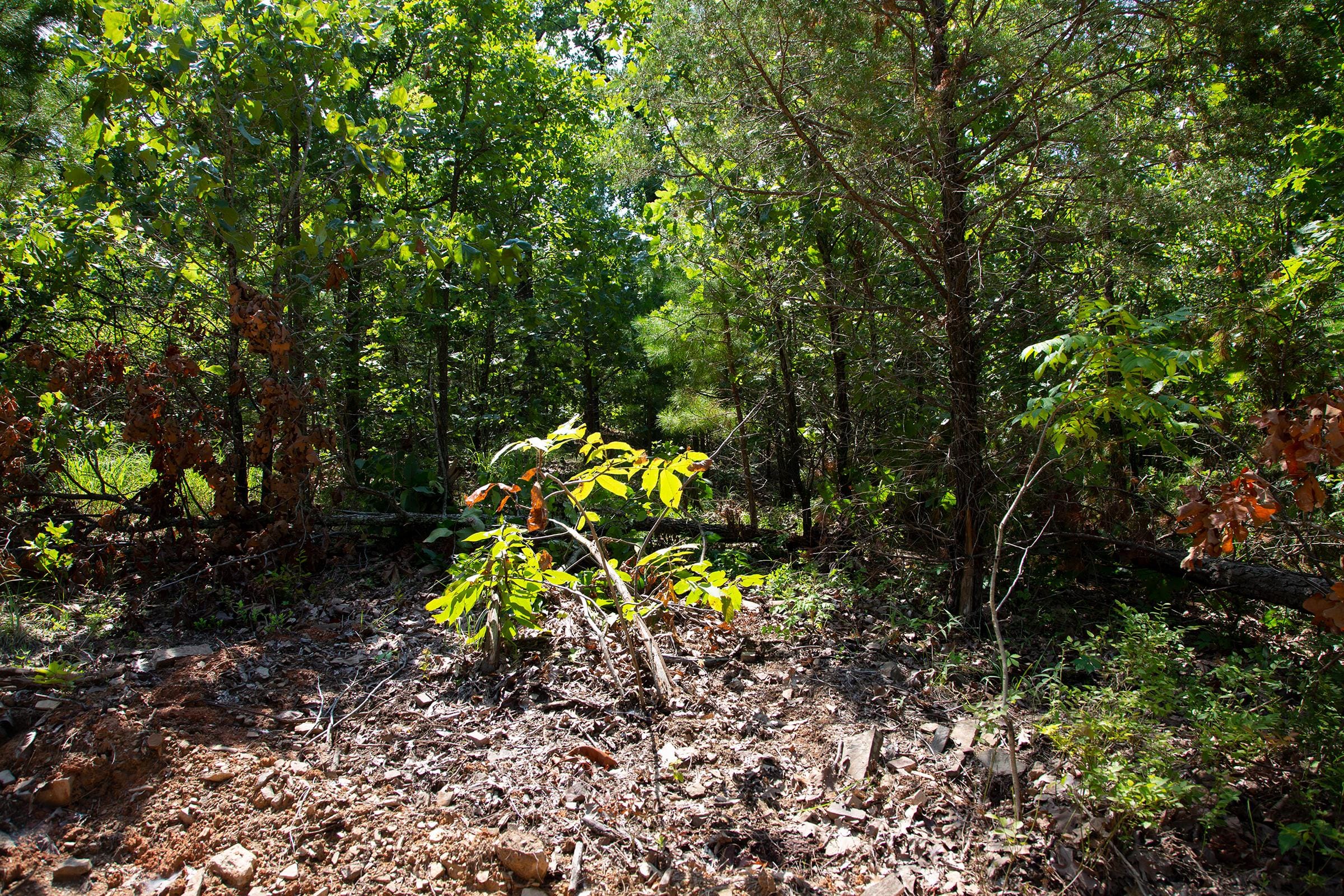 Tyler Stone Ranch Tract 73 photo 10
