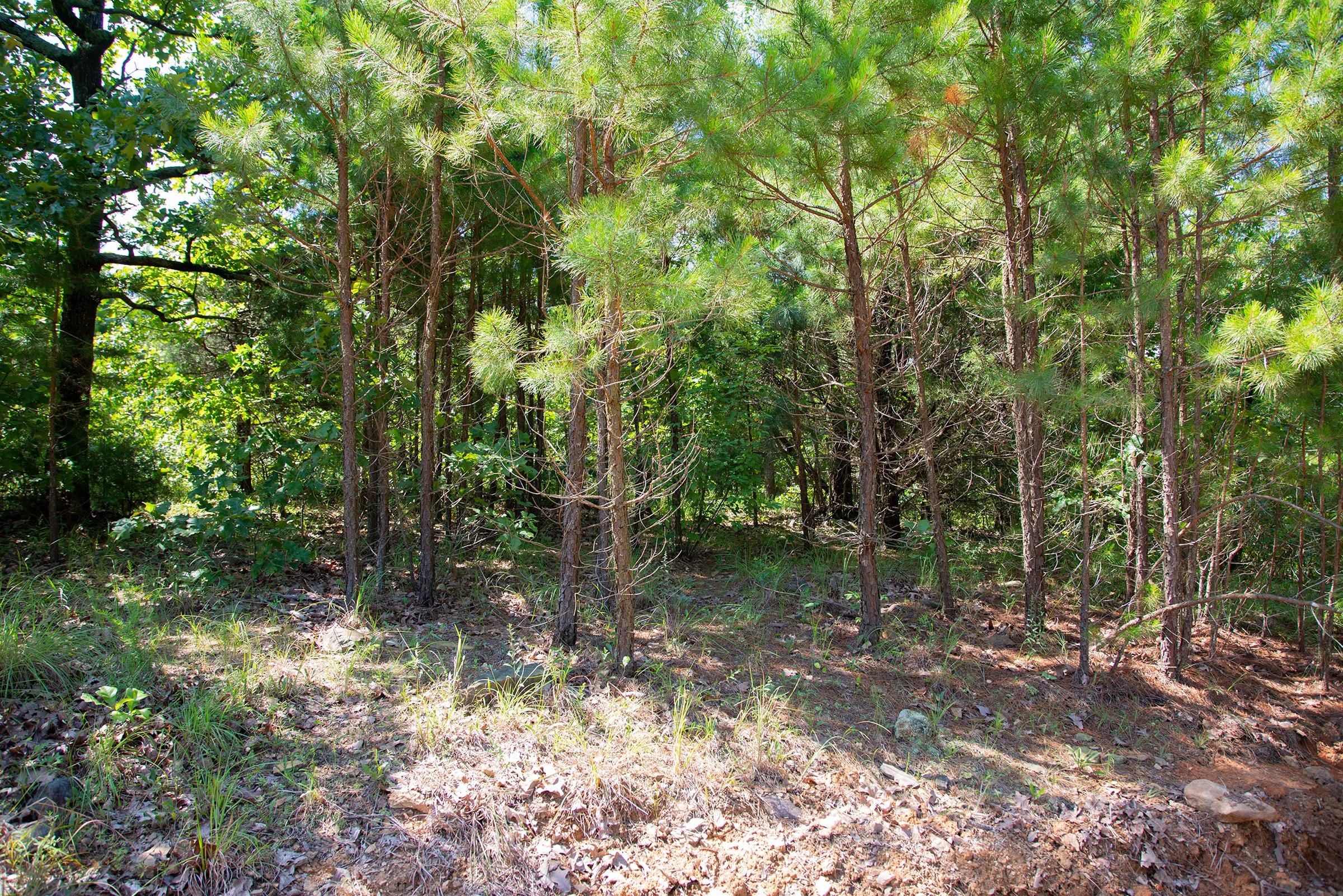 Tyler Stone Ranch Tract 73 photo 11