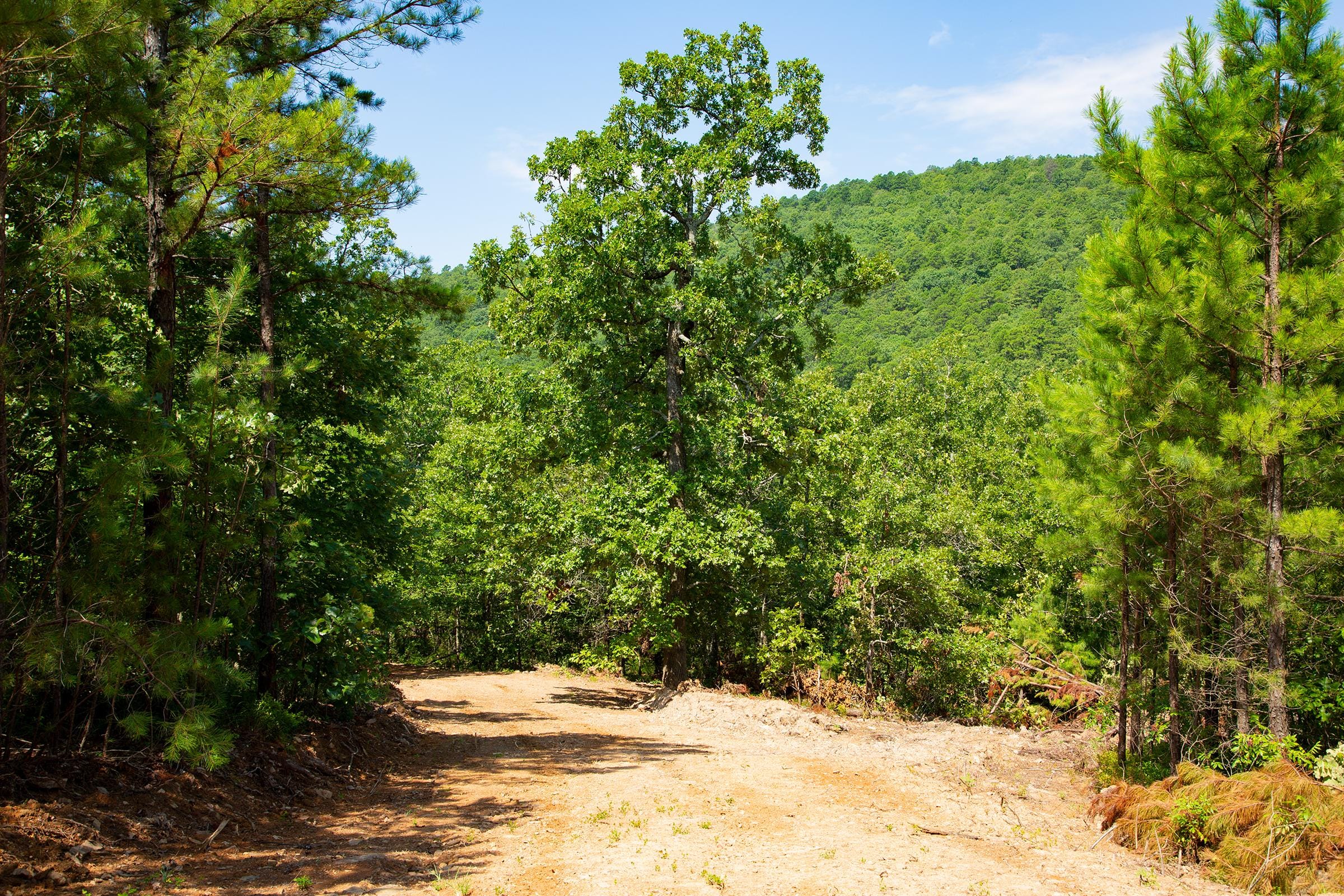 Tyler Stone Ranch Tract 73 photo 3