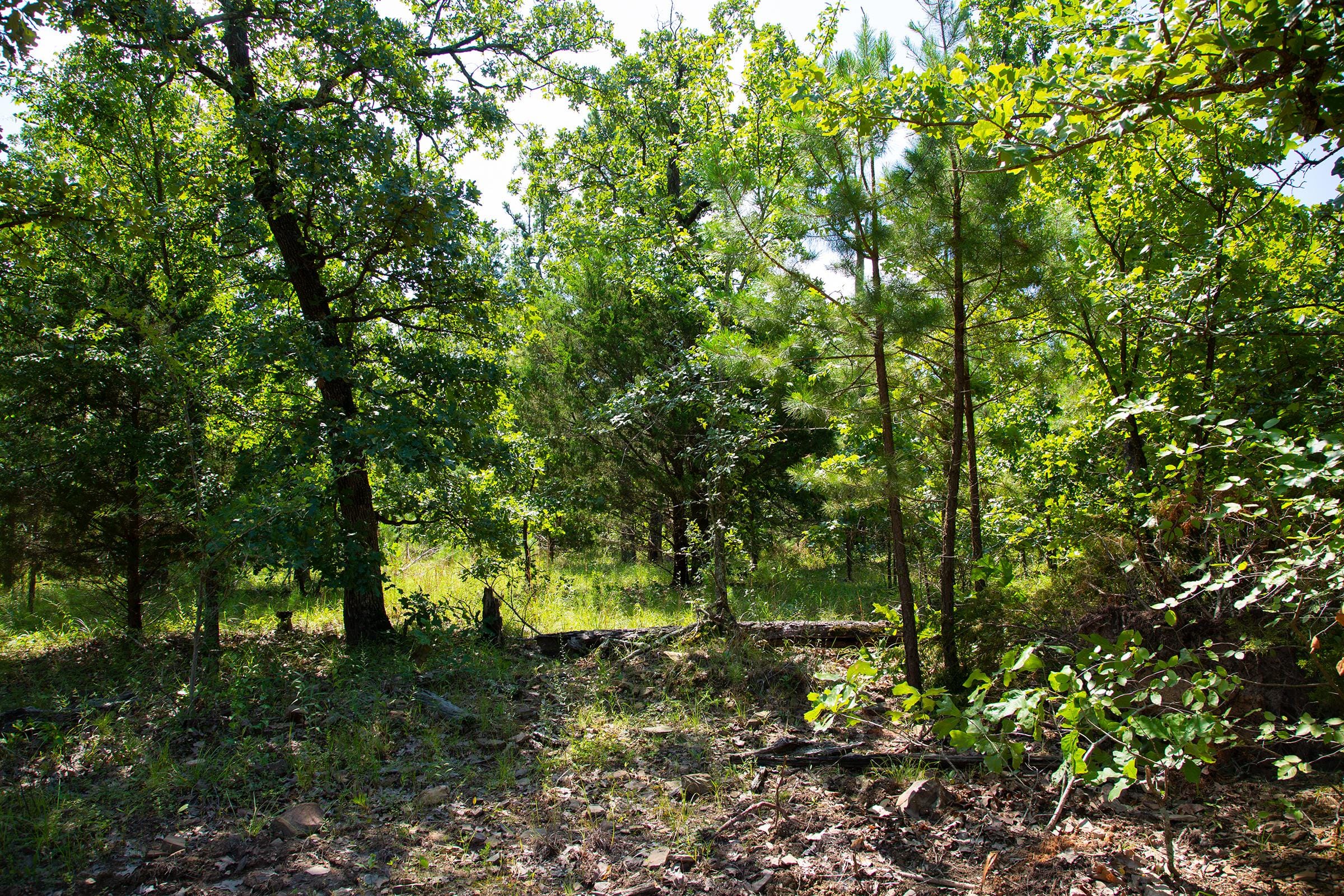 Tyler Stone Ranch Tract 73 photo 13