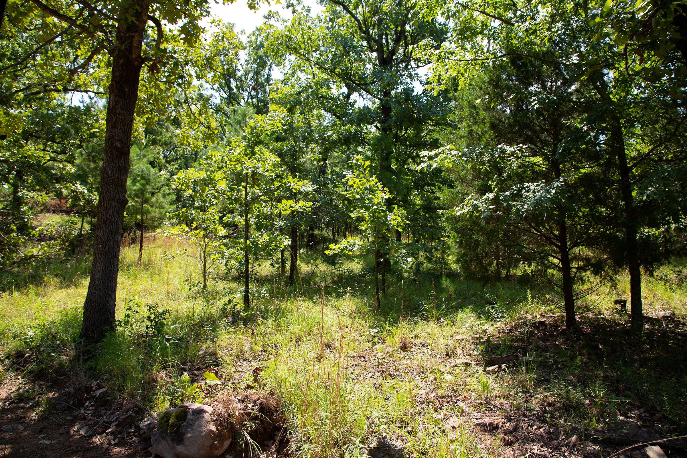 Tyler Stone Ranch Tract 73 photo 12