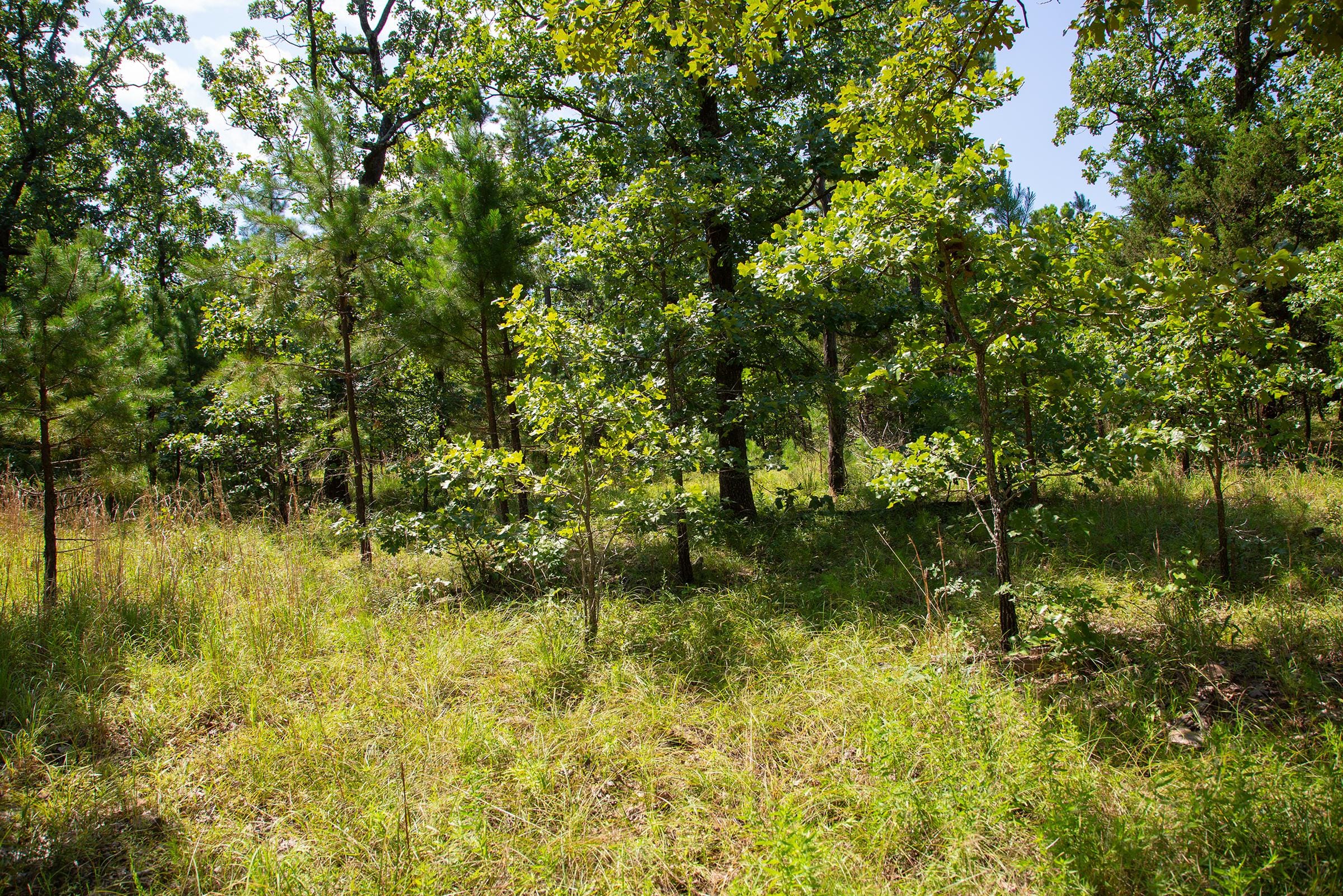 Tyler Stone Ranch Tract 73 photo 14