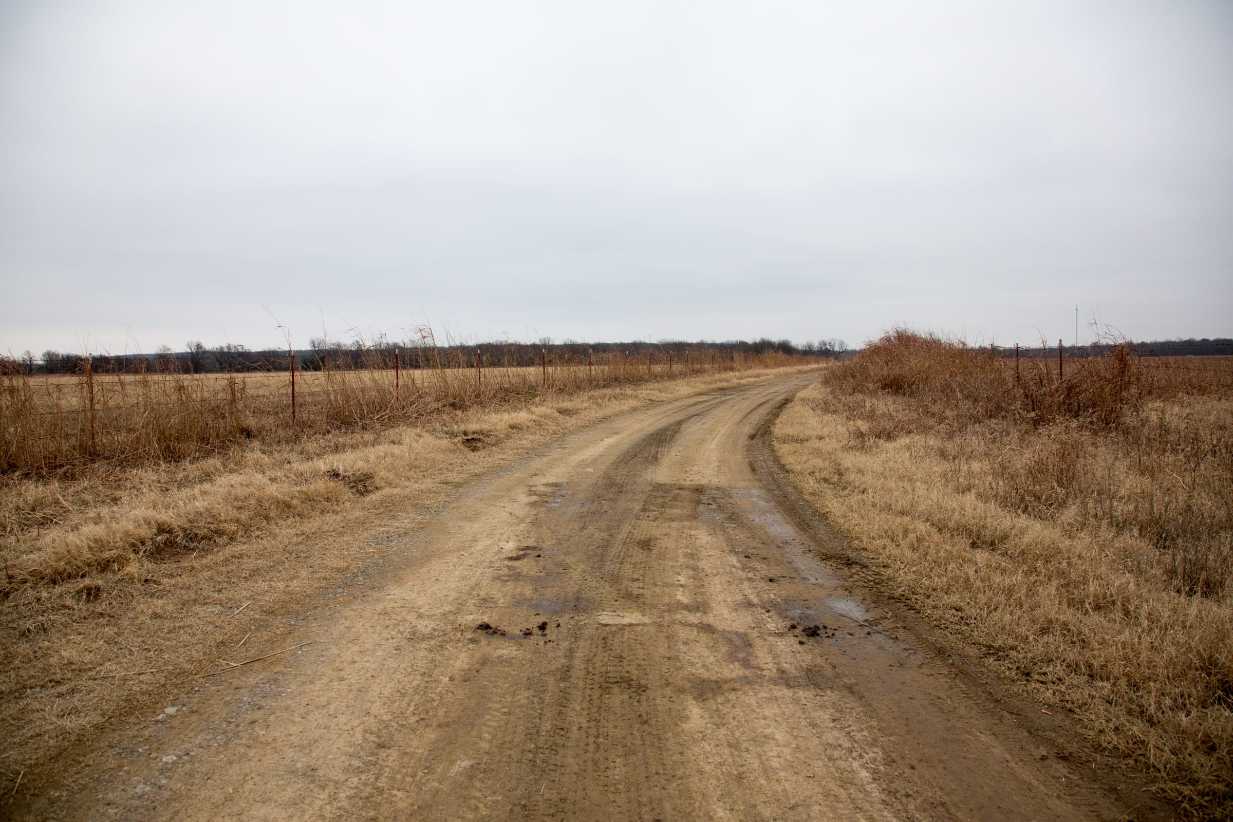 Canadian Plains Tract 39 photo 1