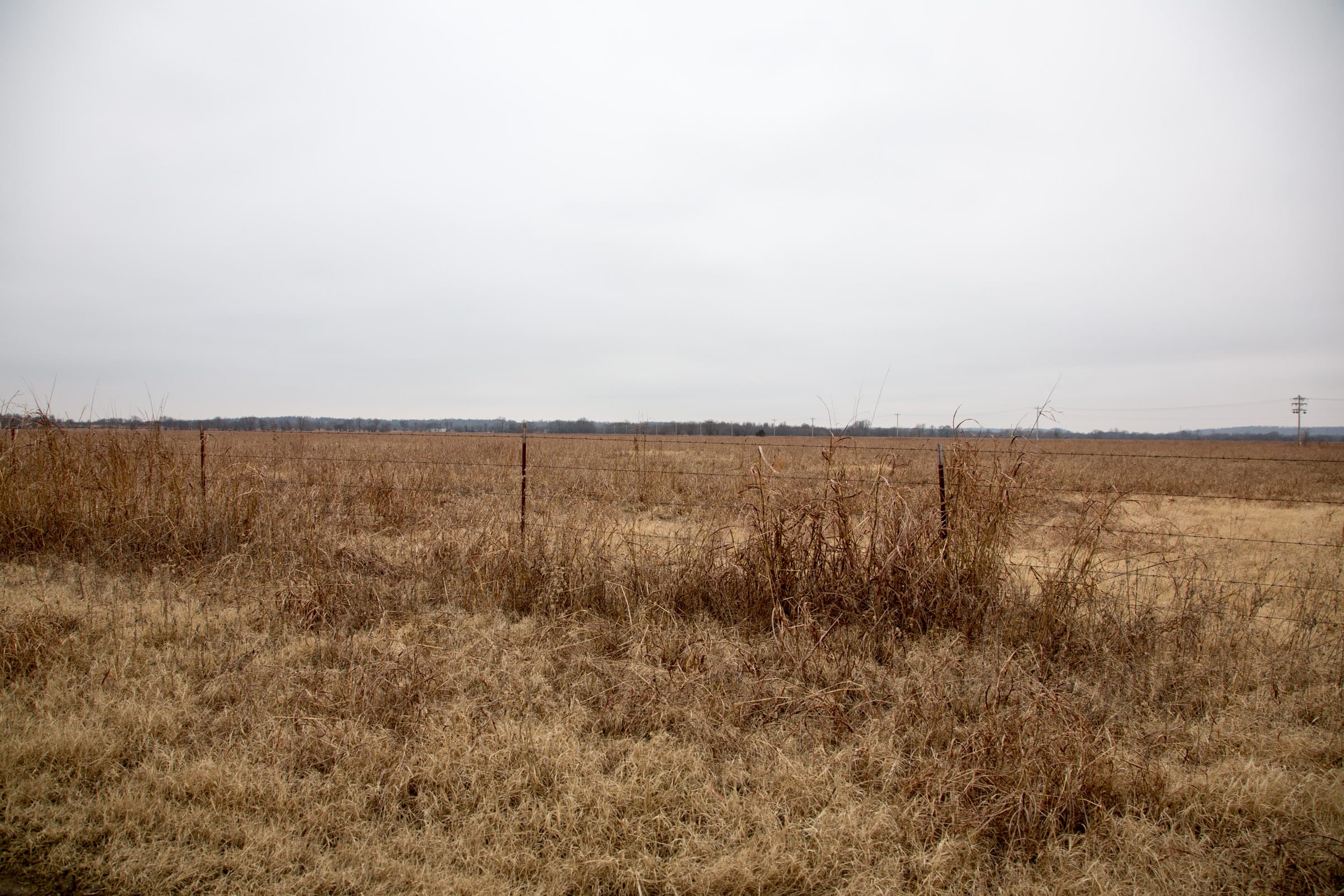 Canadian Plains Tract 39 photo 2