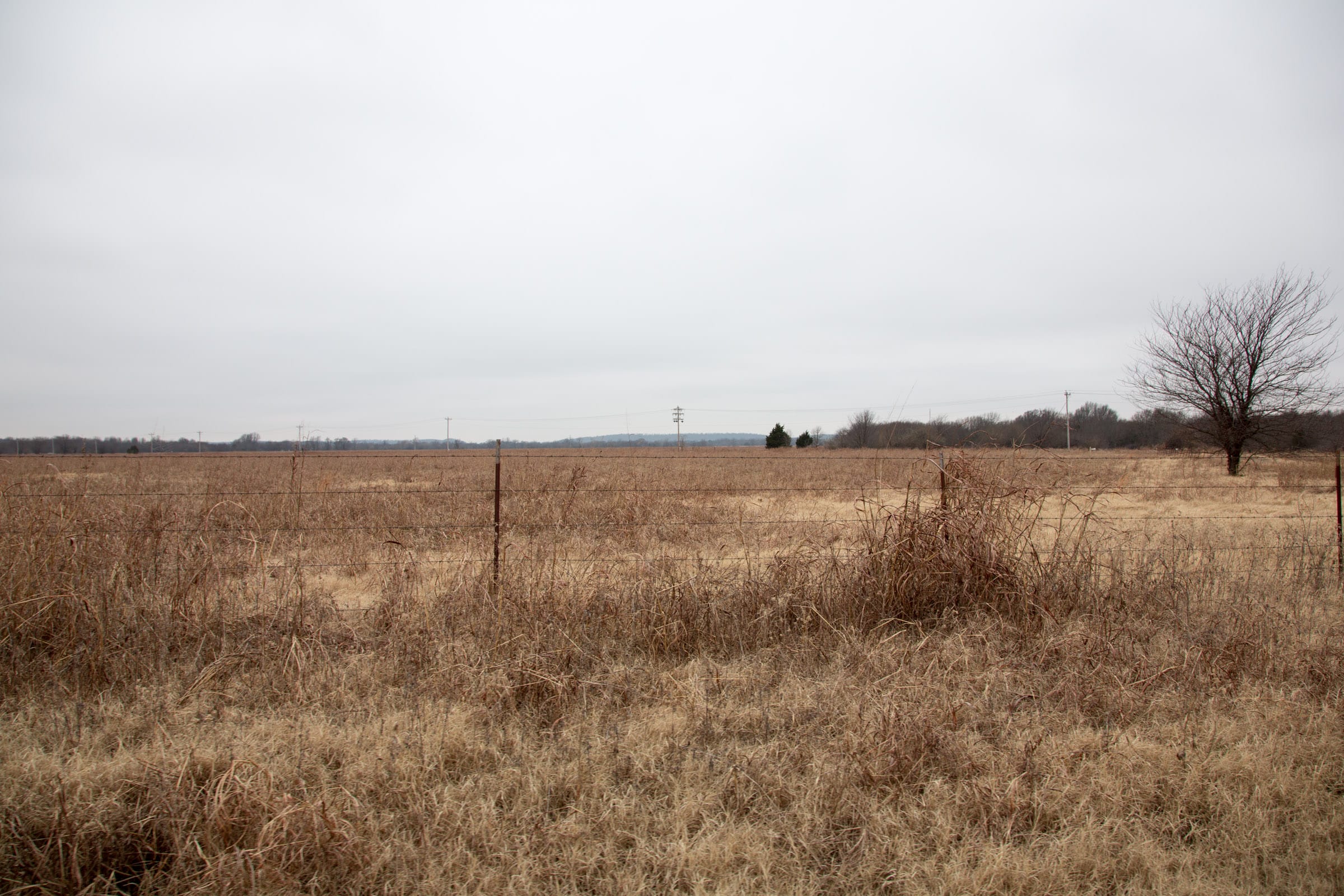 Canadian Plains Tract 39 photo 3