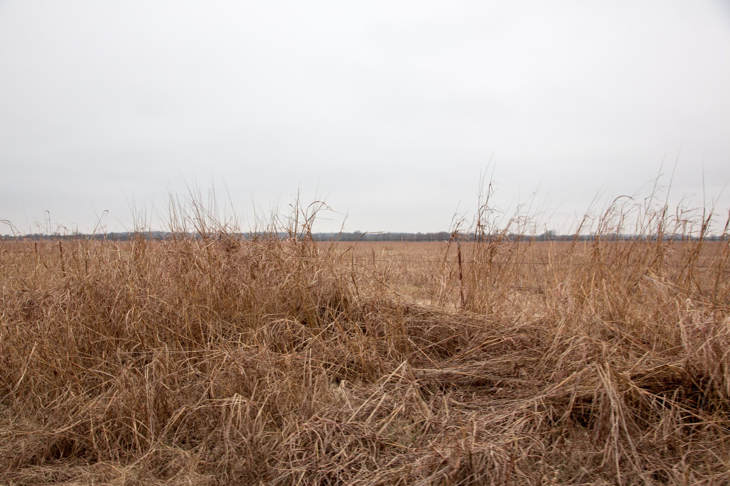 Canadian Plains Tract 39 photo 4