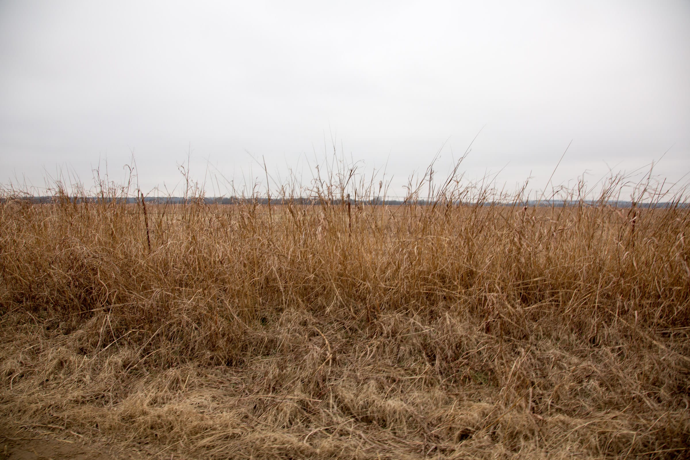 Canadian Plains Tract 39 photo 5