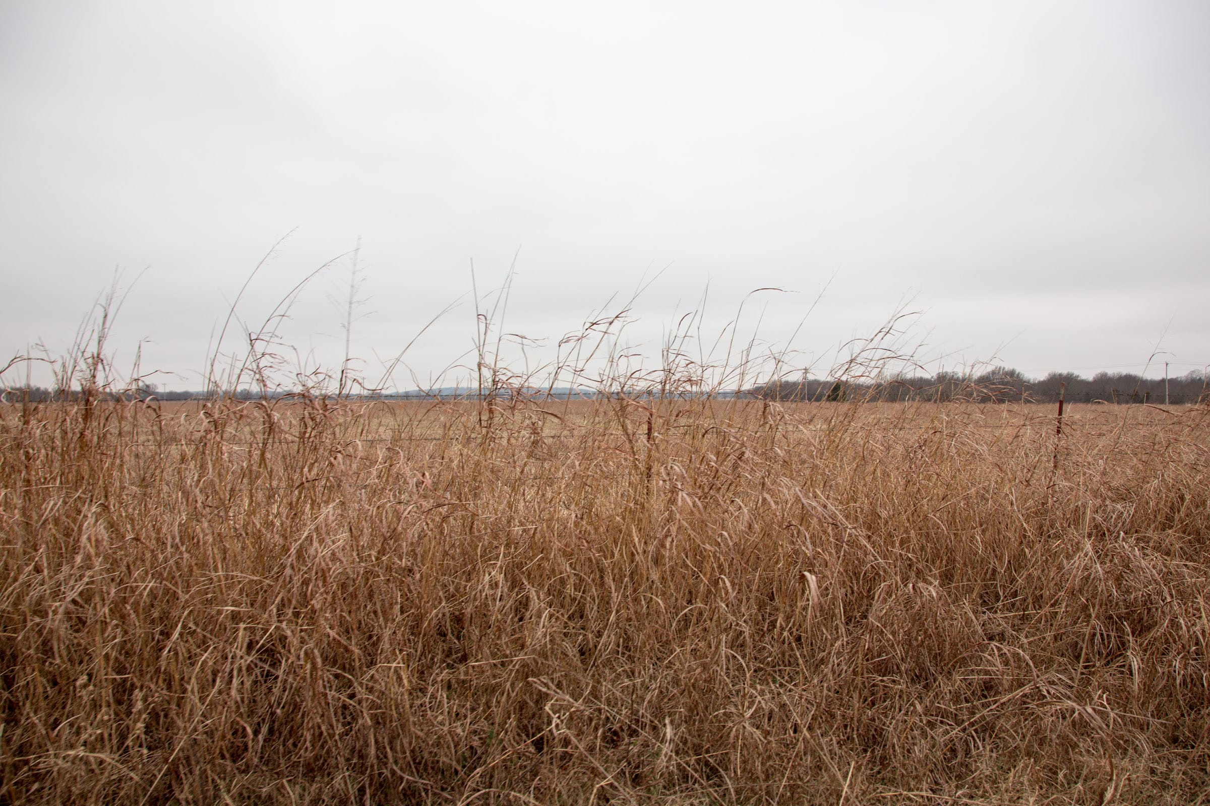 Canadian Plains Tract 39 photo 6