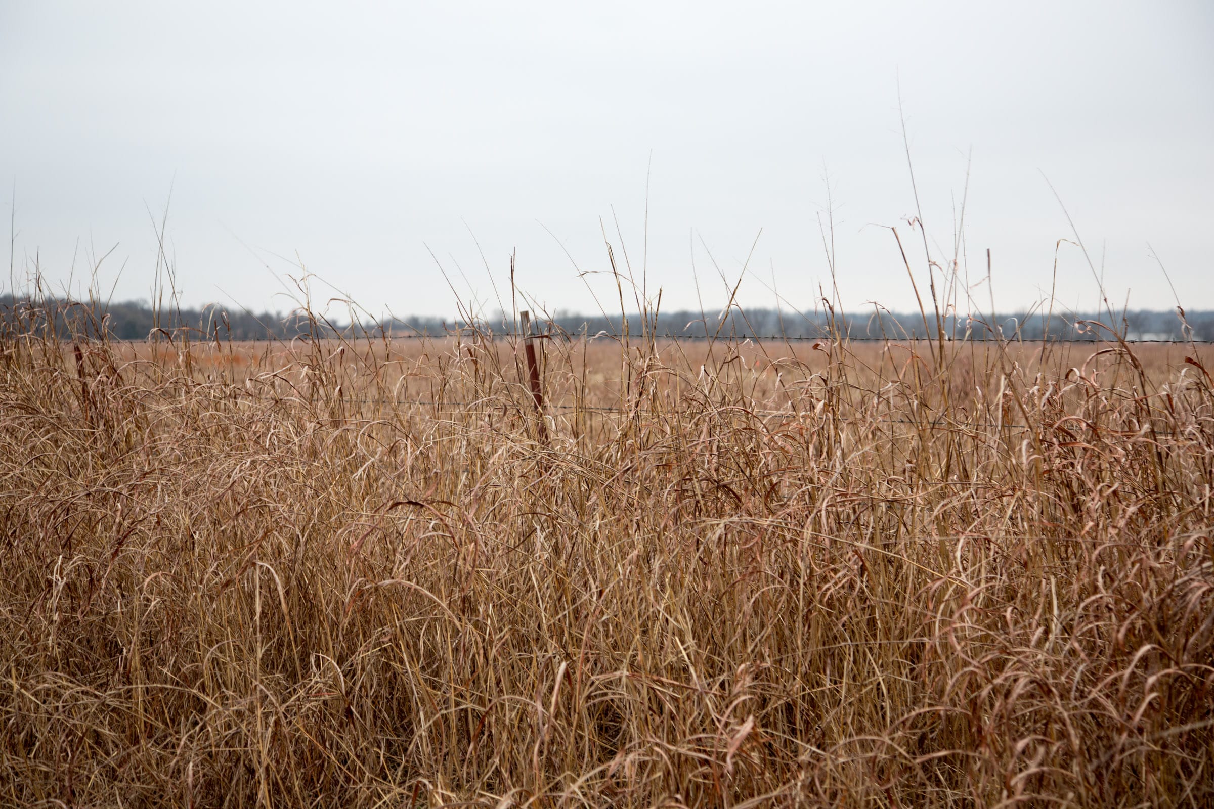 Canadian Plains Tract 39 photo 7