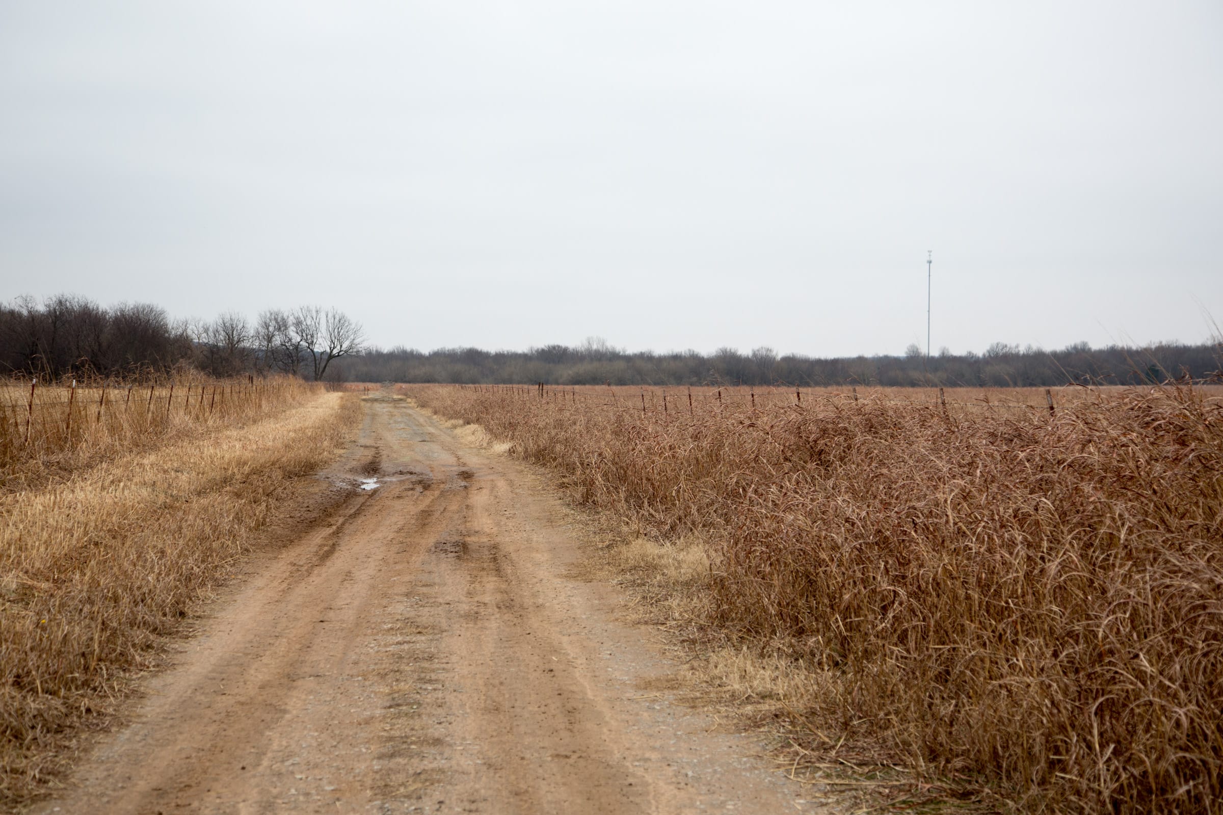 Canadian Plains Tract 39 photo 8