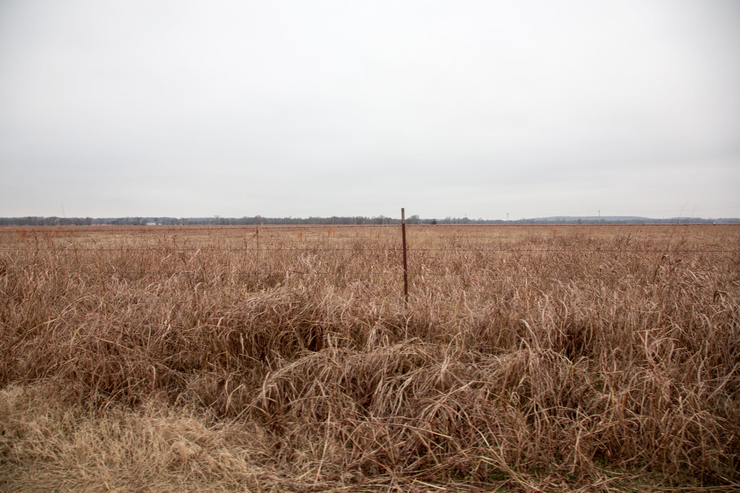 Canadian Plains Tract 39 photo 9