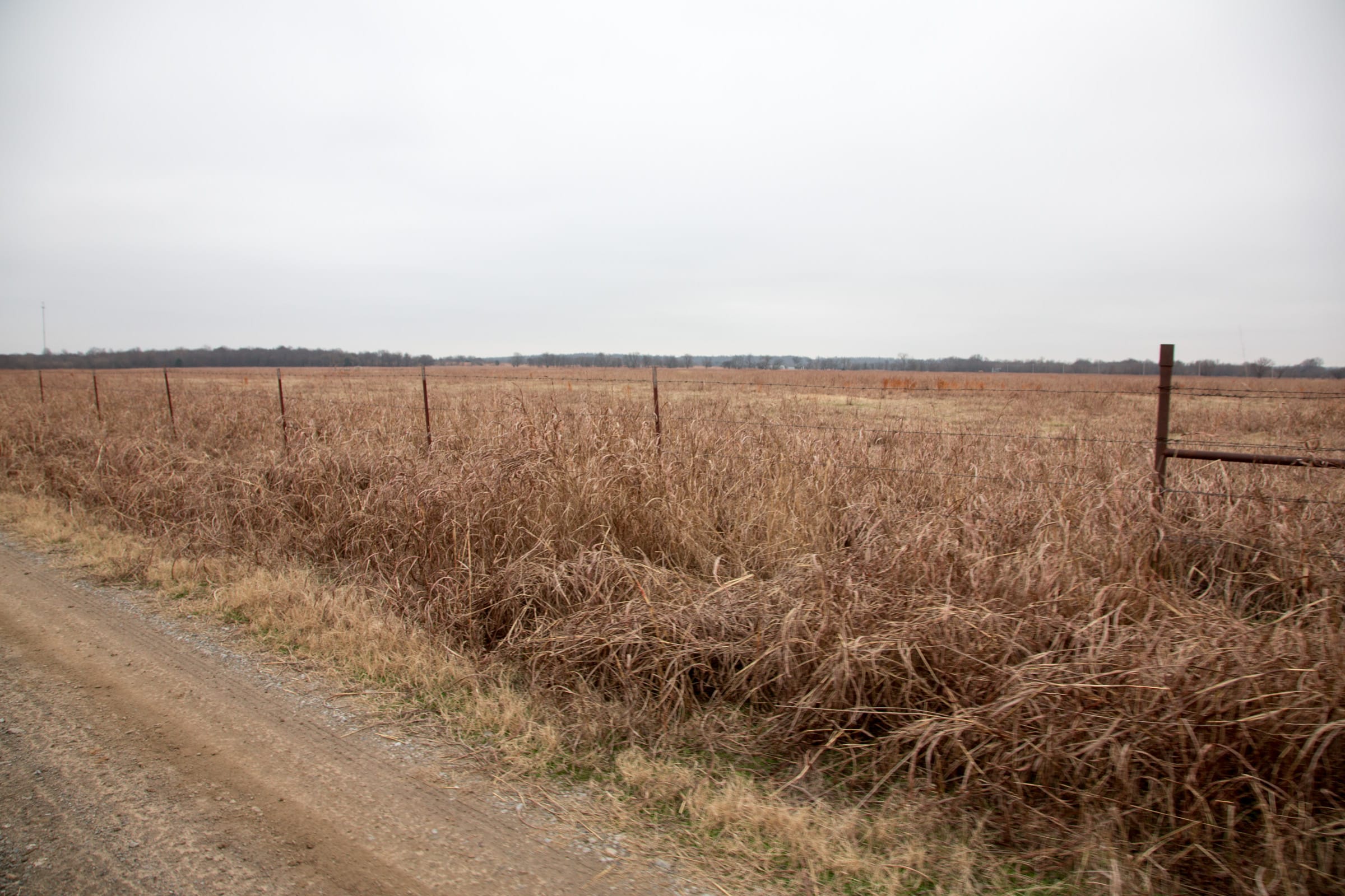 Canadian Plains Tract 39 photo 10