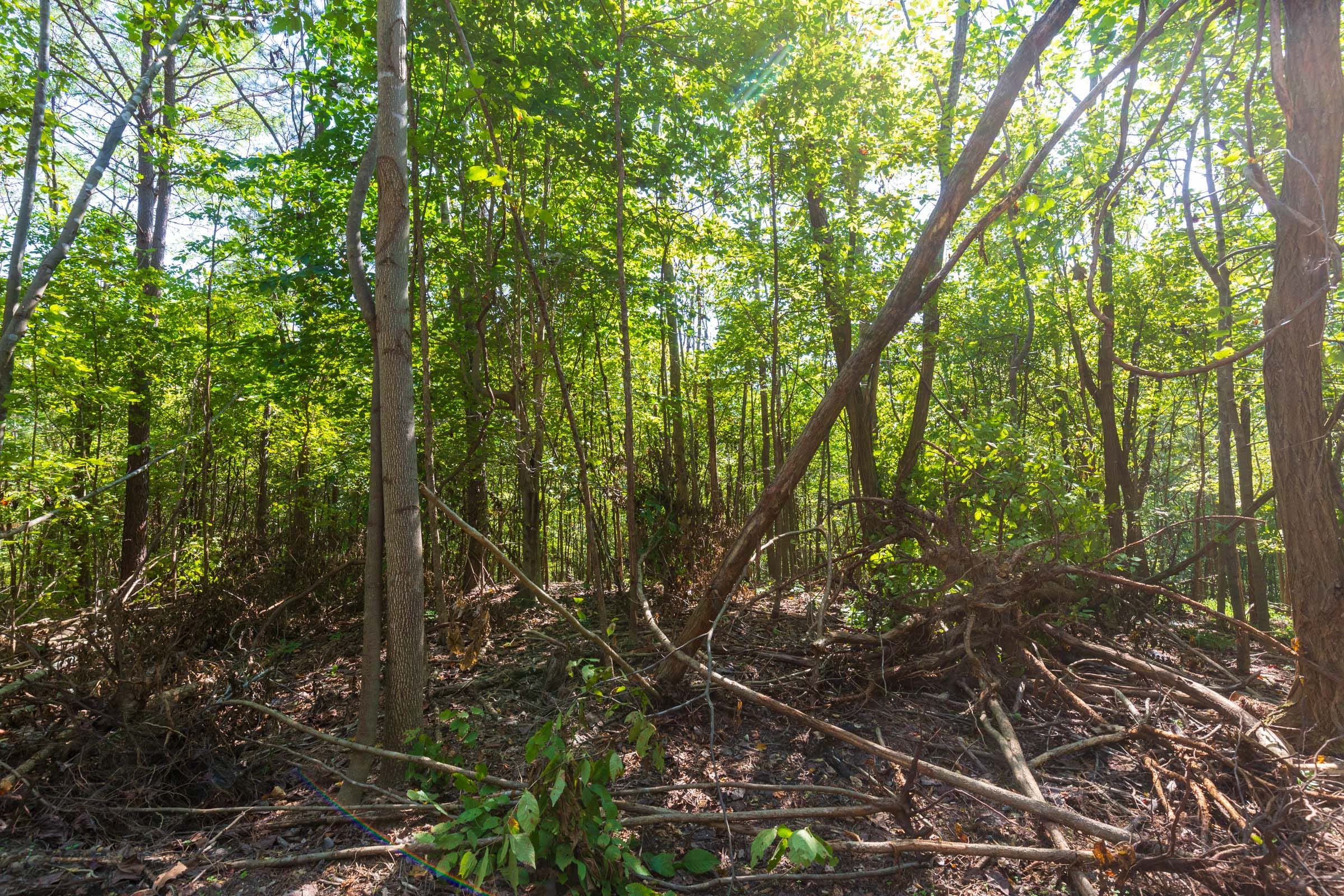 Redemption Ridge Tract 13 photo 4