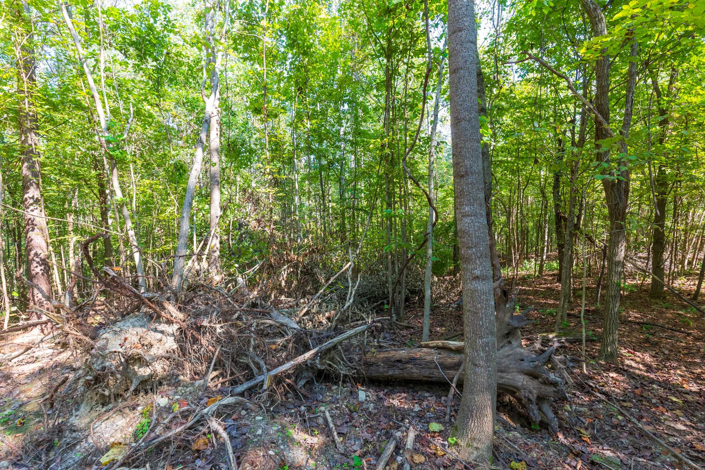 Redemption Ridge Tract 13 photo 2