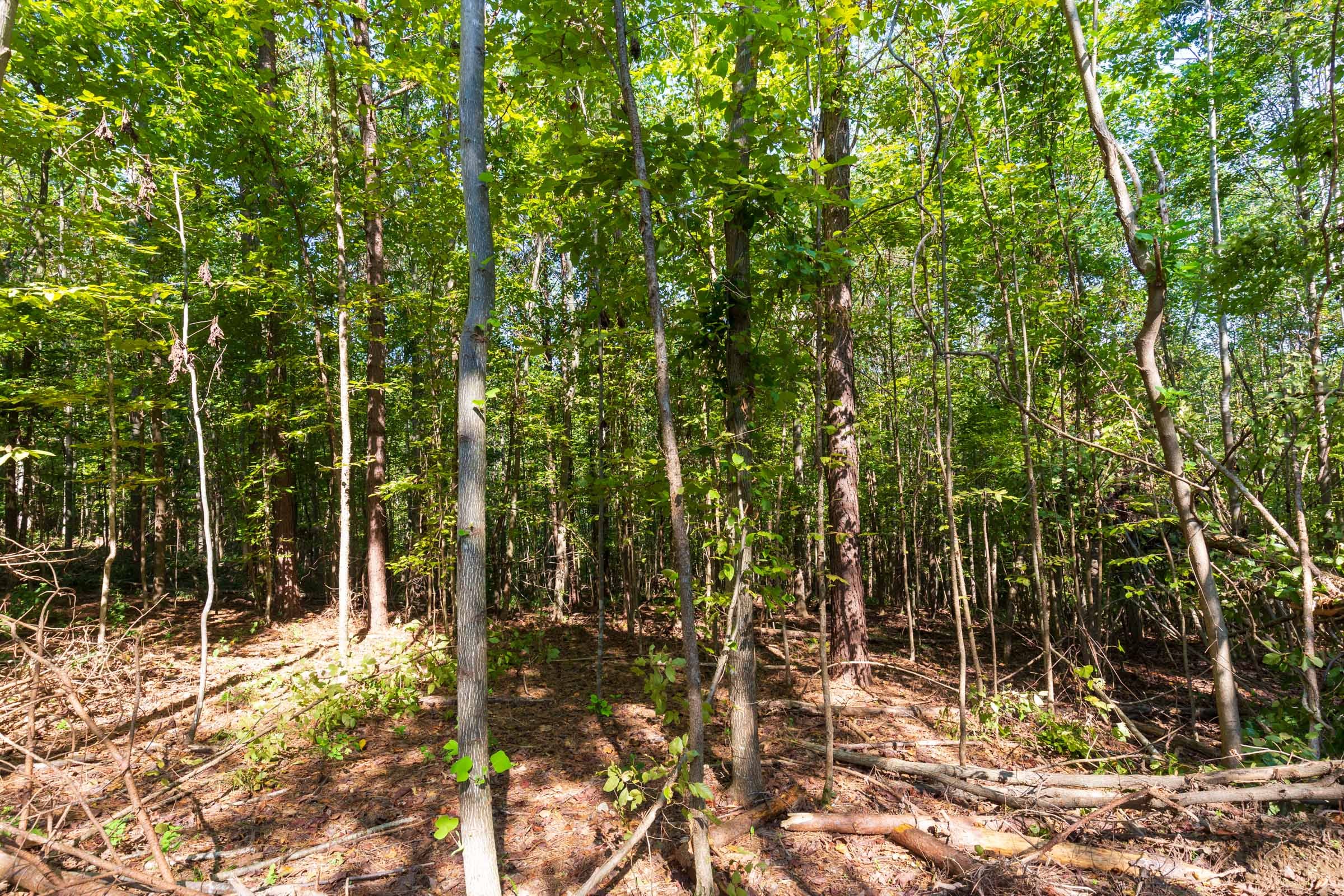 Redemption Ridge Tract 13 photo 3