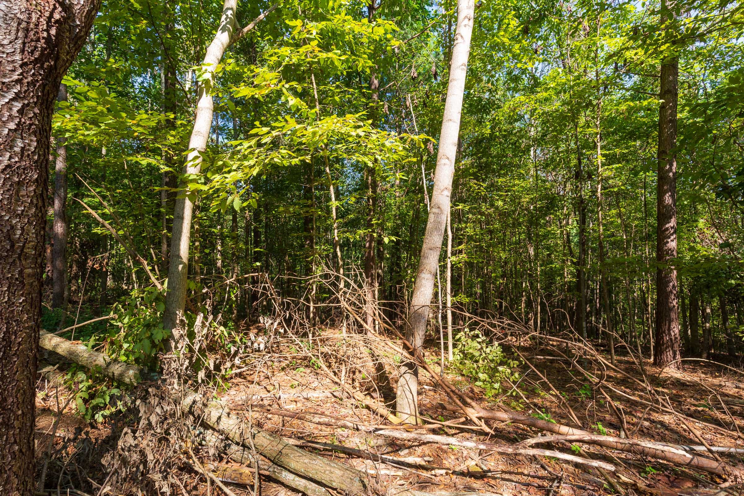 Redemption Ridge Tract 13 photo 5