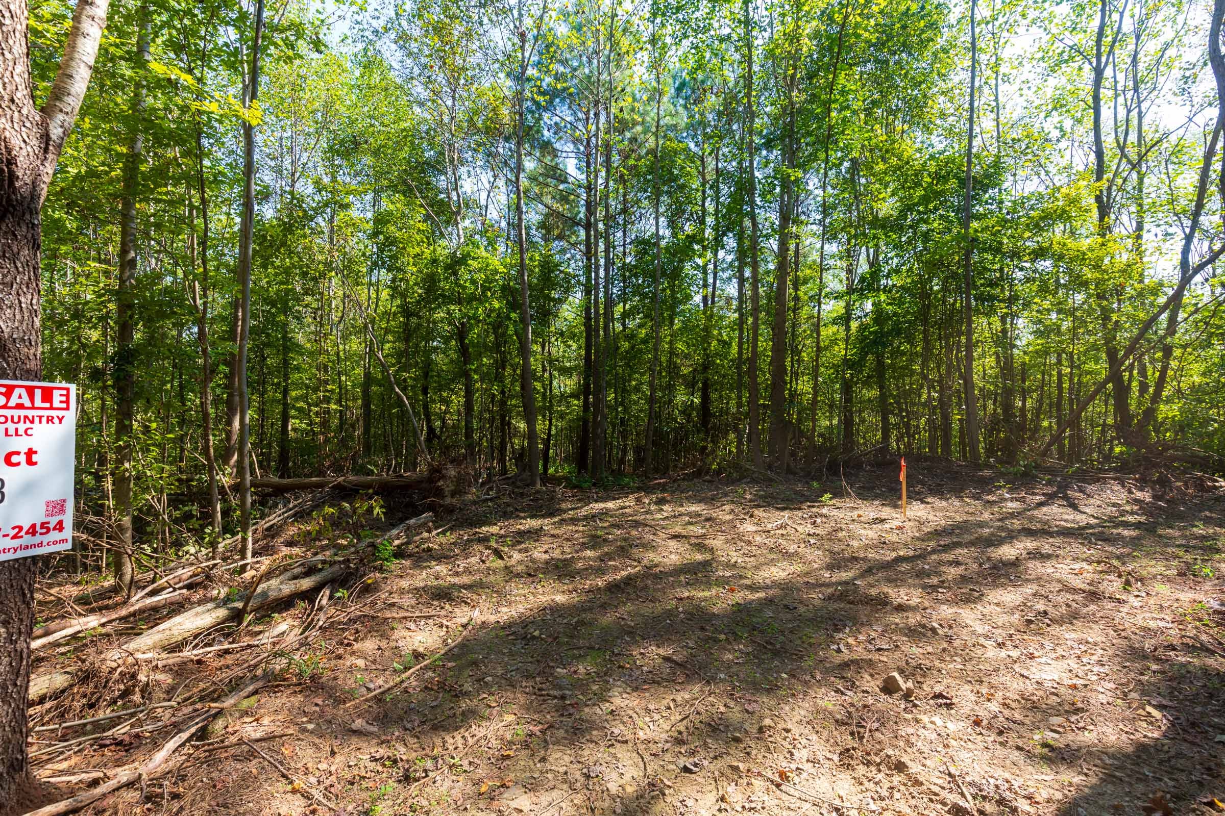 Redemption Ridge Tract 13 photo 7