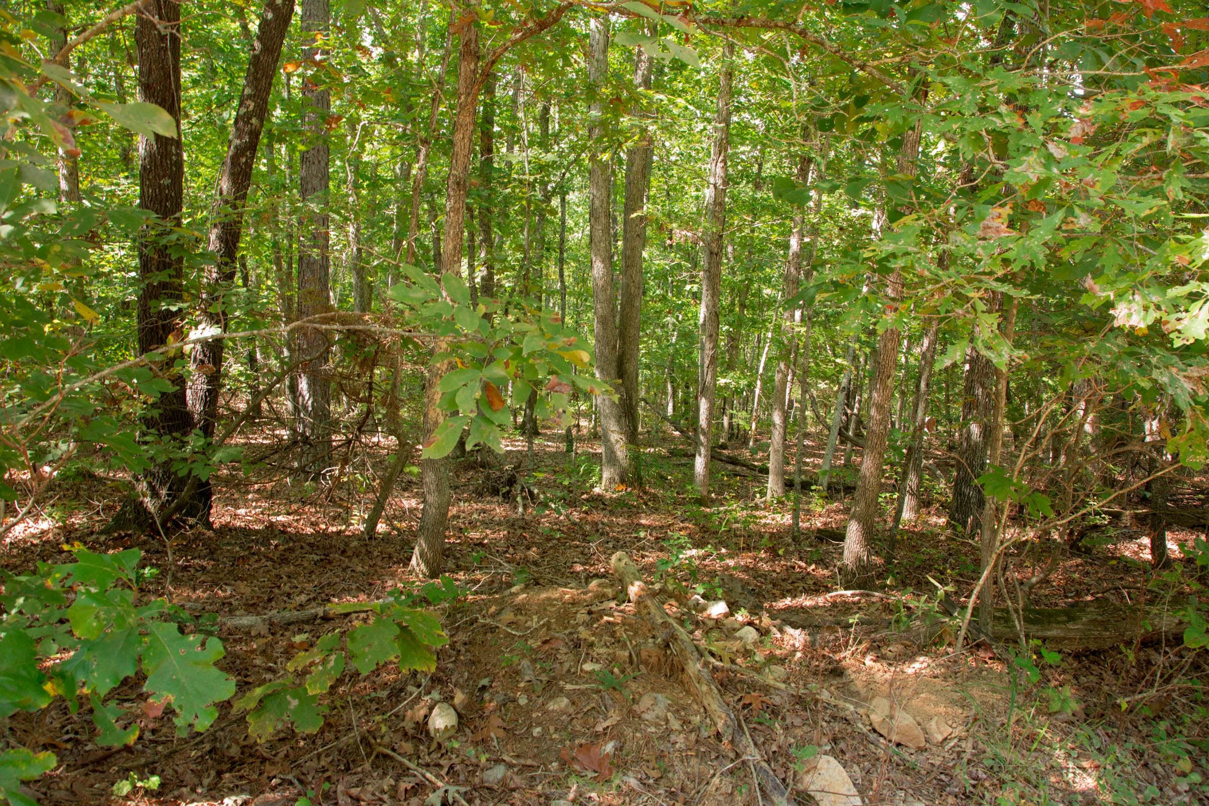 Wagon Wheel Ranch Tract 11 photo 7