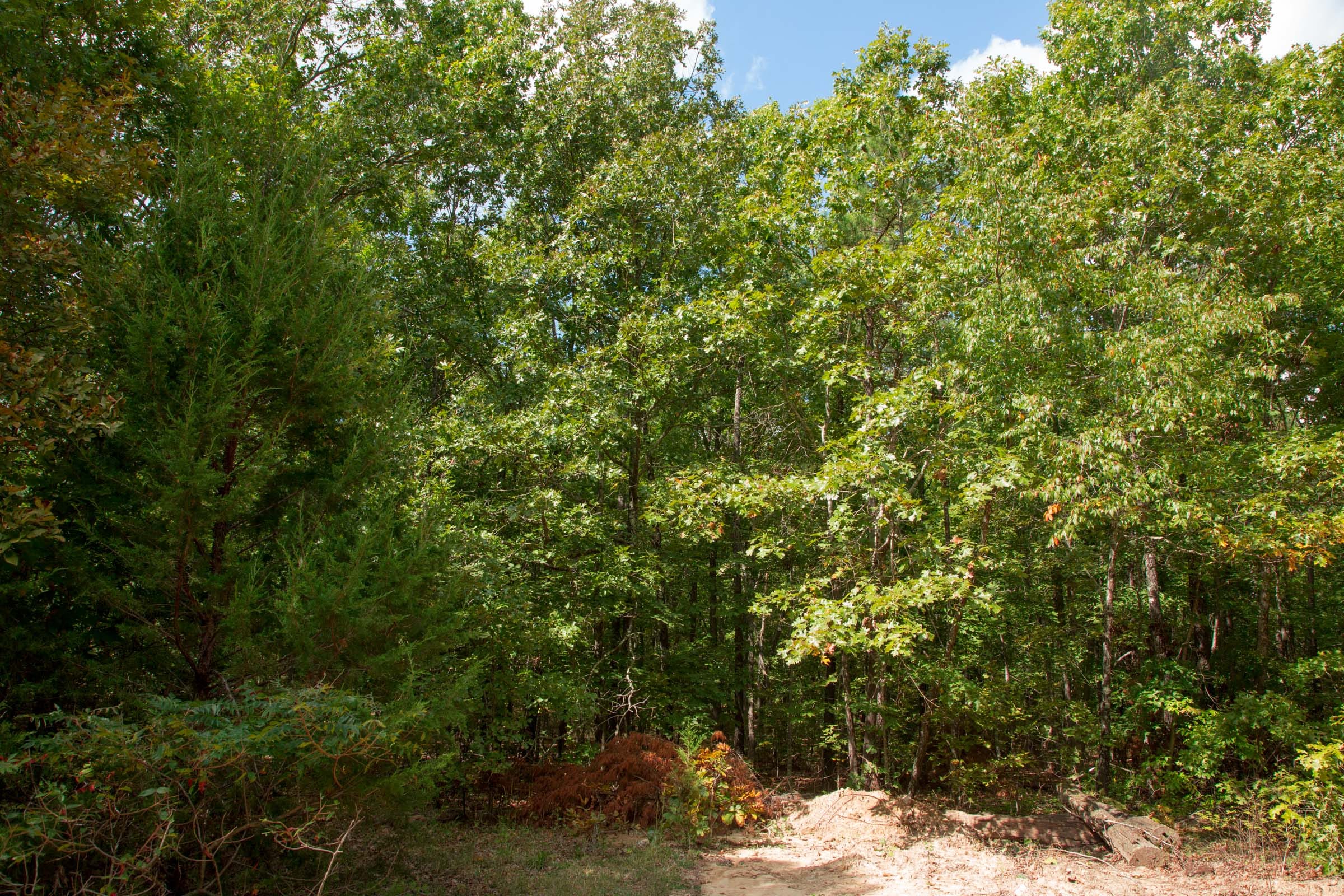 Wagon Wheel Ranch Tract 11 photo 8
