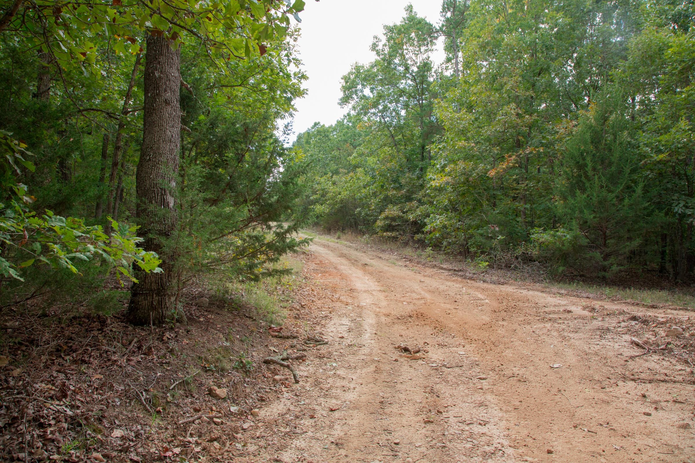Wagon Wheel Ranch Tract 11 photo 11