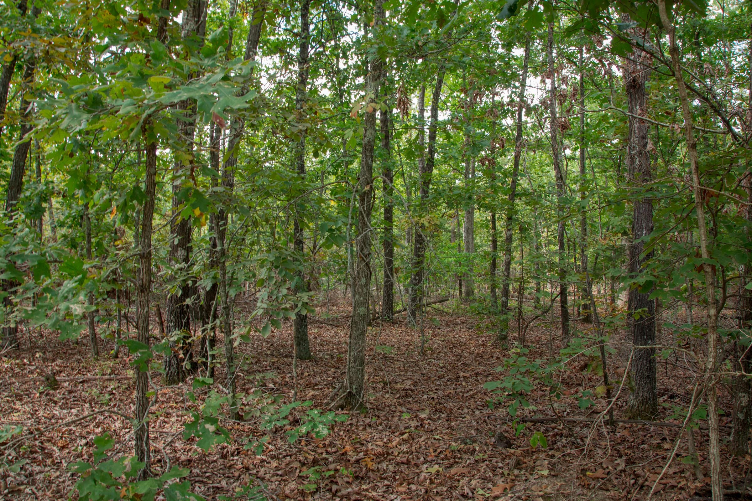 Wagon Wheel Ranch Tract 11 photo 1
