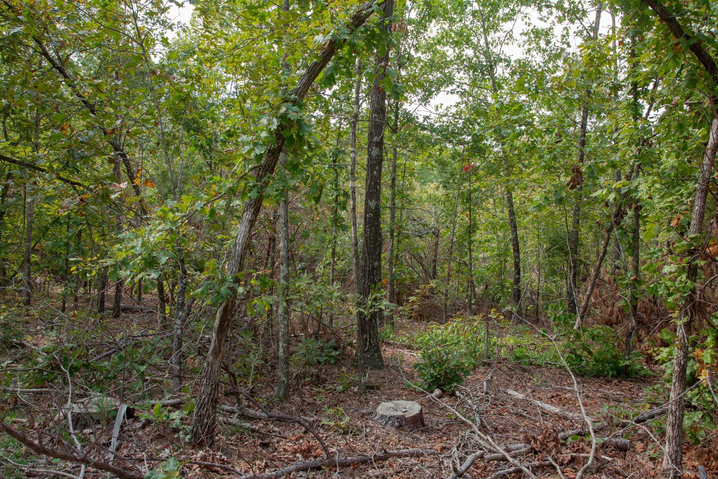 Wagon Wheel Ranch Tract 11 photo 13